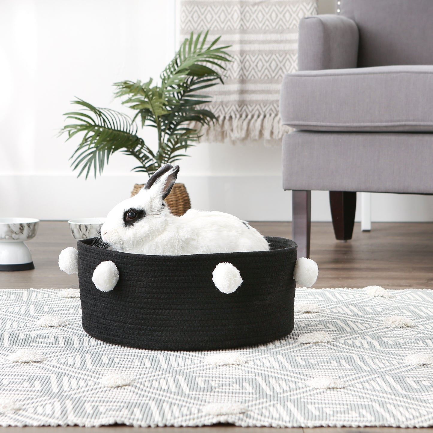 Cotton Pet Storage Basket, Pom-Poms, Black/White - 15.75x6.25"
