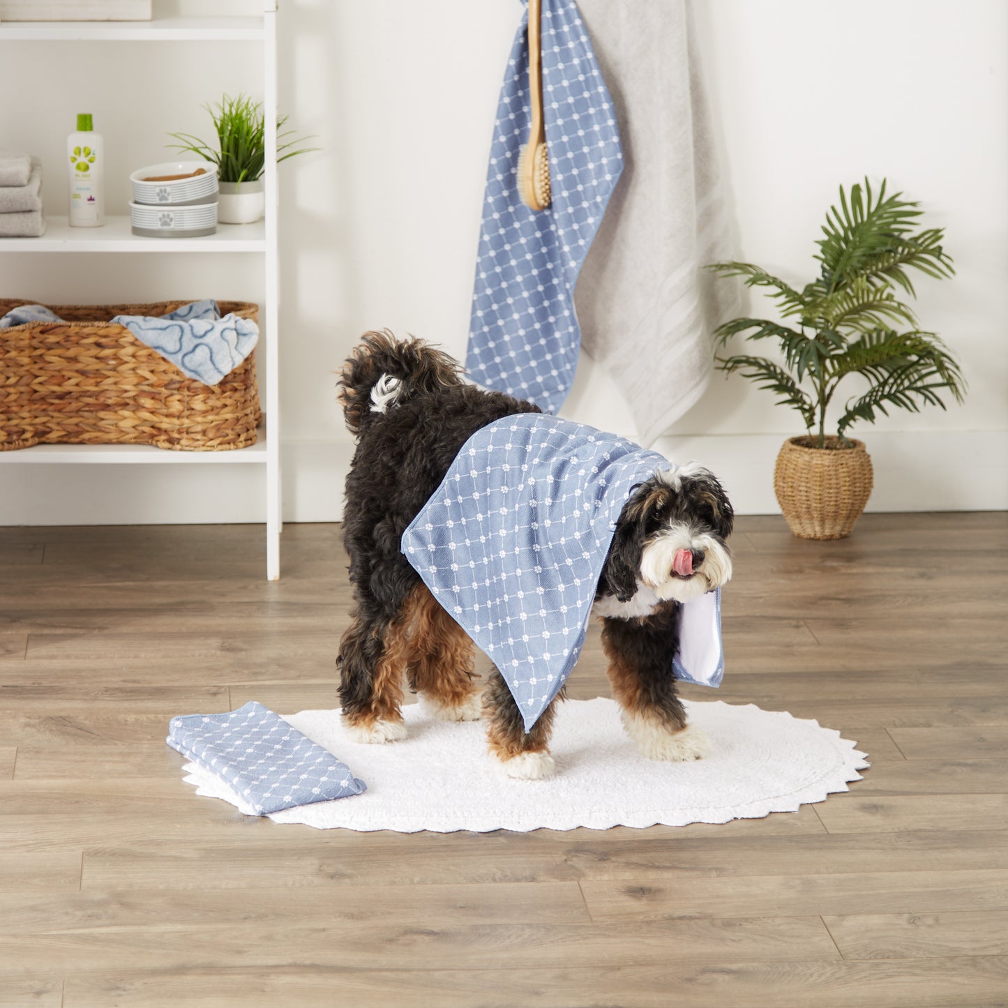 Bone Dry Small Microfiber Pet Towel - 3 Pack - Printed Trellis, Stonewash Blue, 15x30"