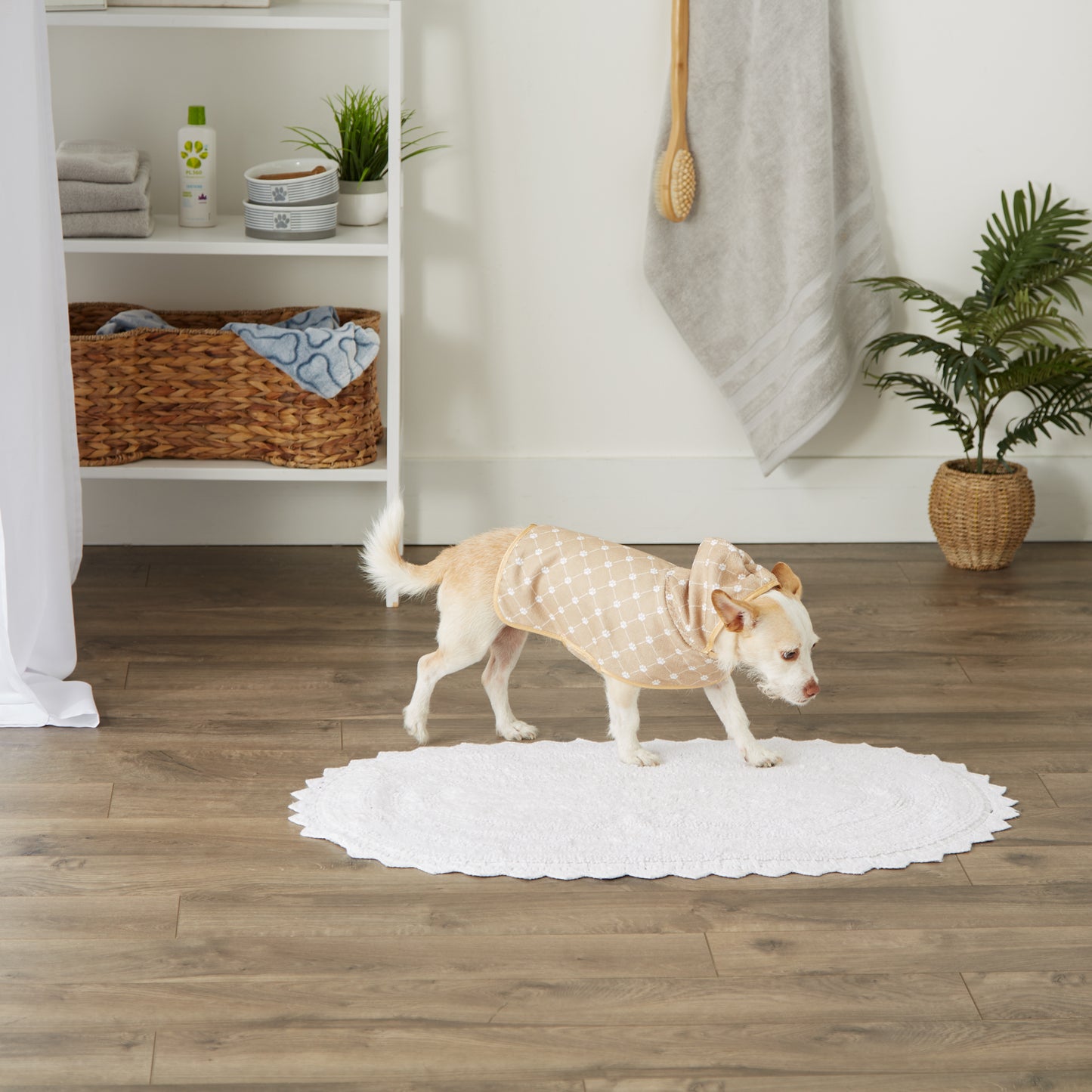 Taupe Printed Trellis Paw Print X-Small, up to 10 Lbs