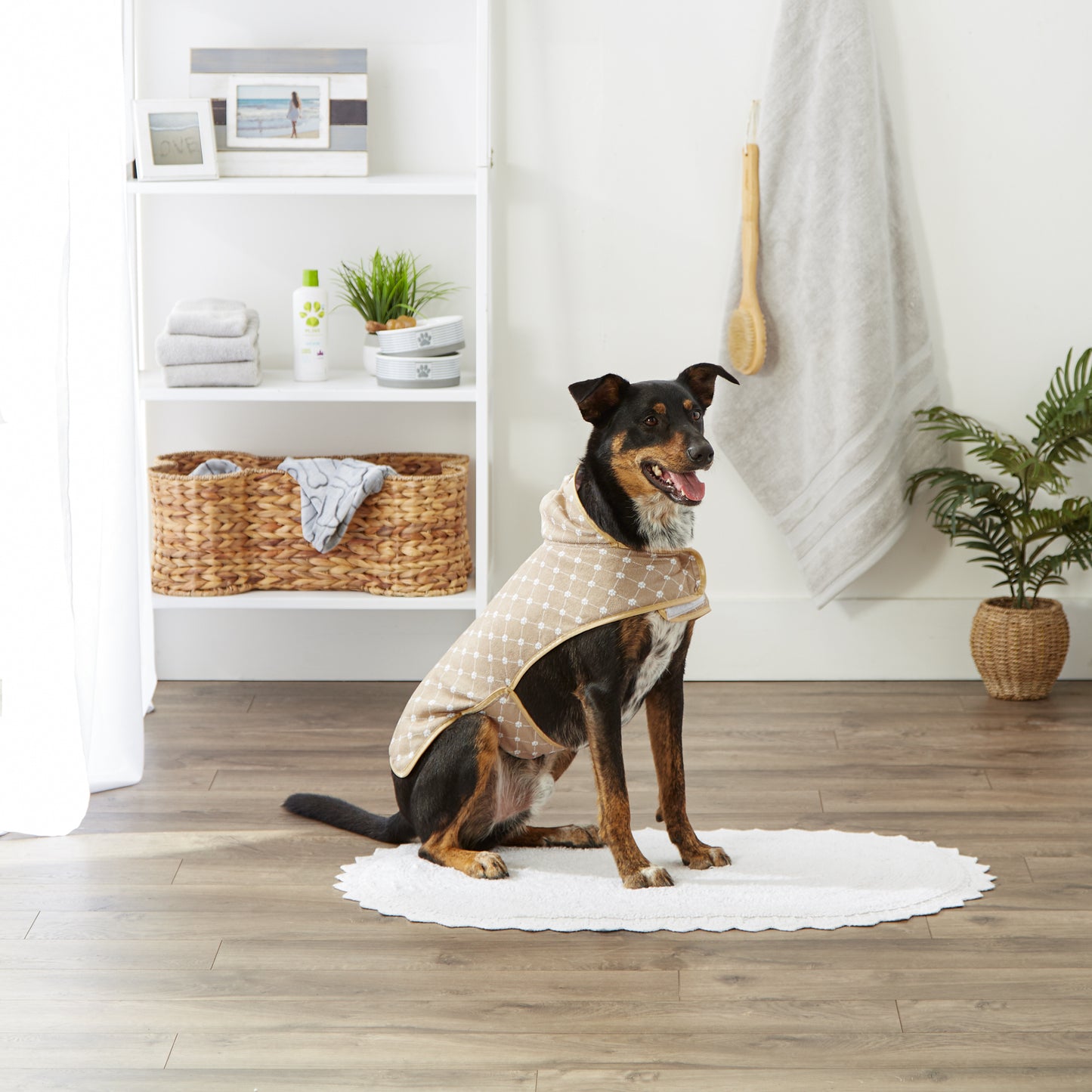 Taupe Printed Trellis Paw Medium Pet Robe