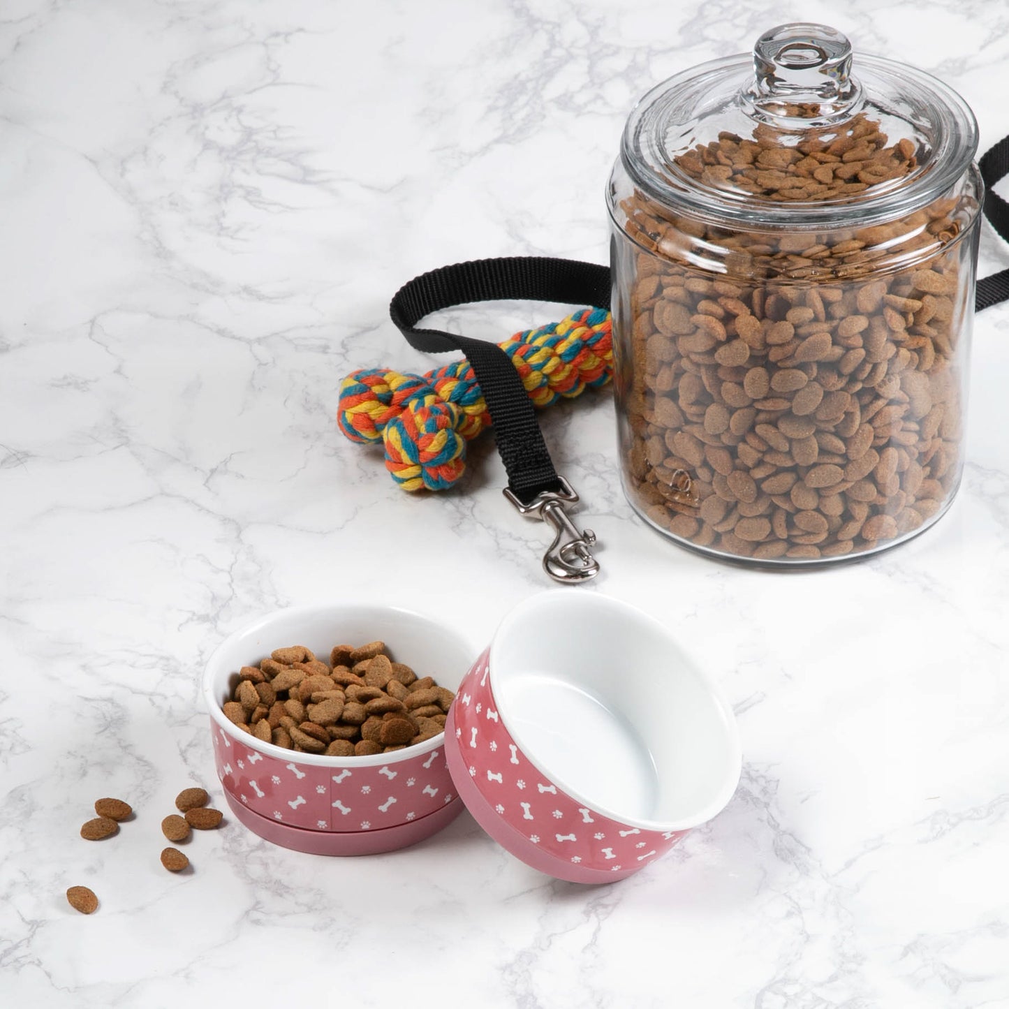 Rose Bone & Paw Print Pet Bowl Set/2, Small - 3/4 C Capacity