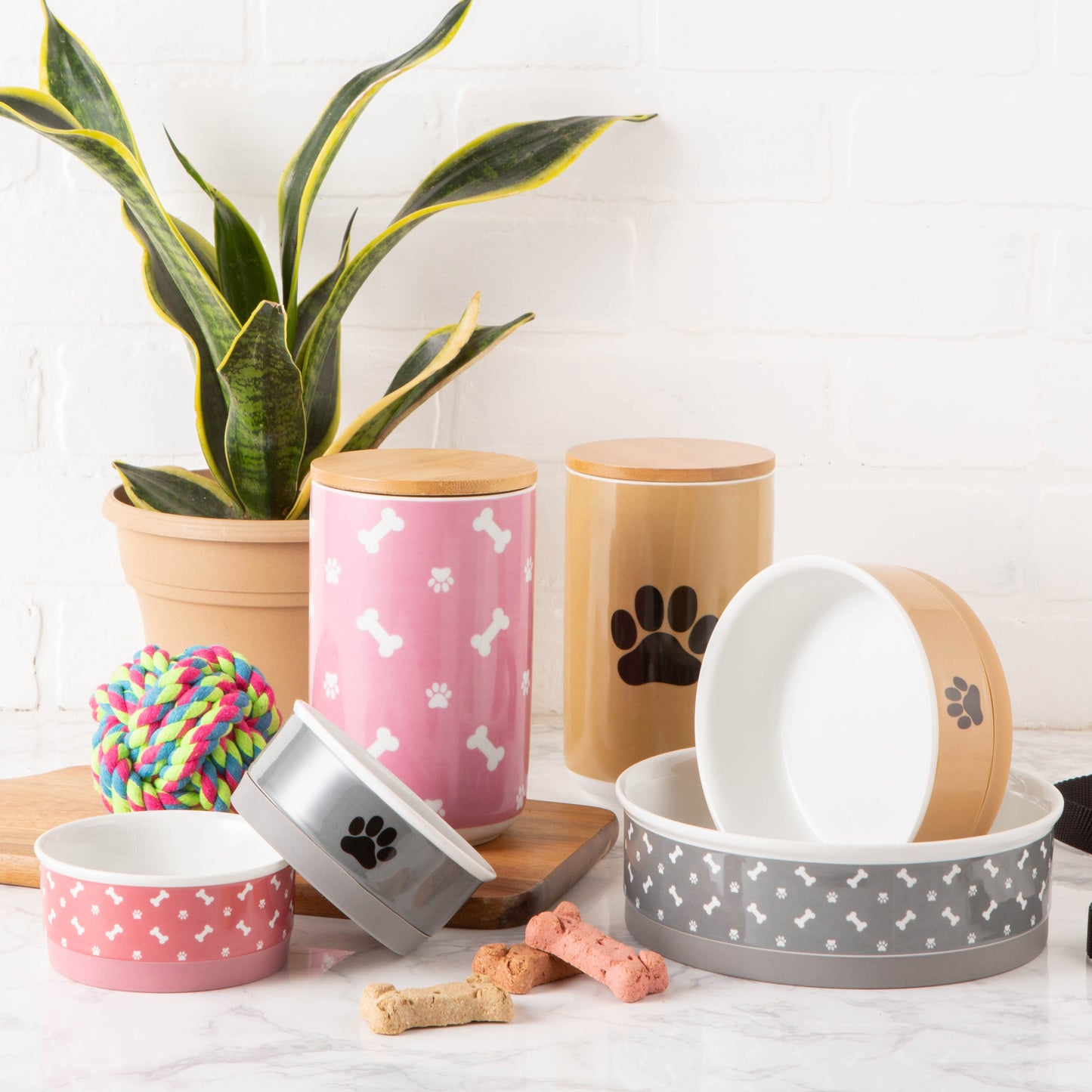 Rose Bone & Paw Print Pet Bowl Set/2, Small - 3/4 C Capacity
