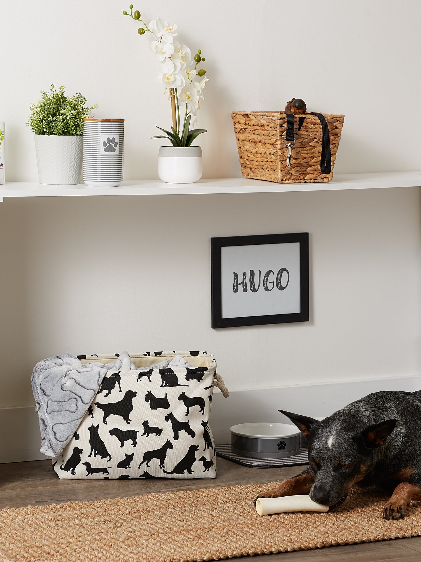 Bone Dry Collapsible Pet Storage Bin, Dog Show Print, Black/White, Medium - 16x10x12"