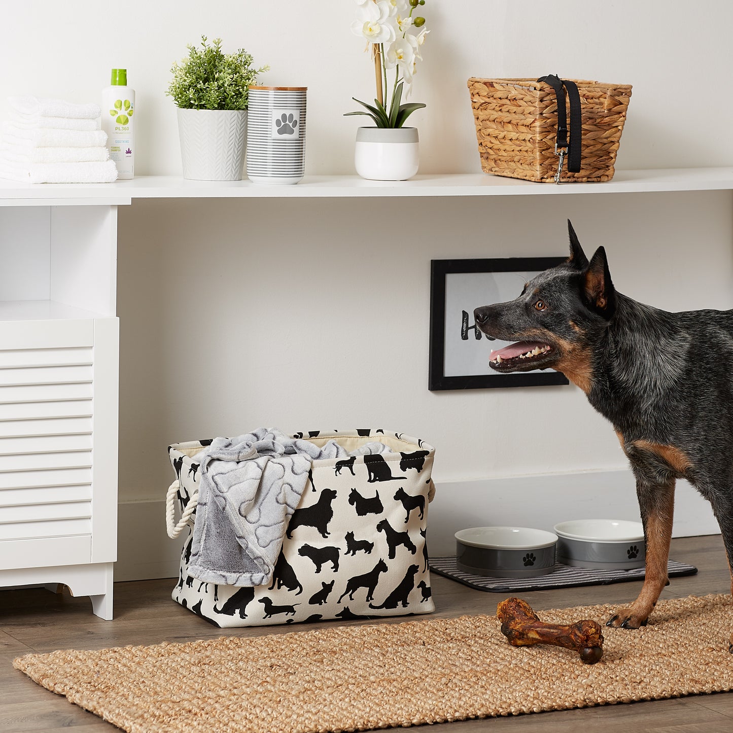 Bone Dry Collapsible Pet Storage Bin, Dog Show Print, Black/White, Medium - 16x10x12"