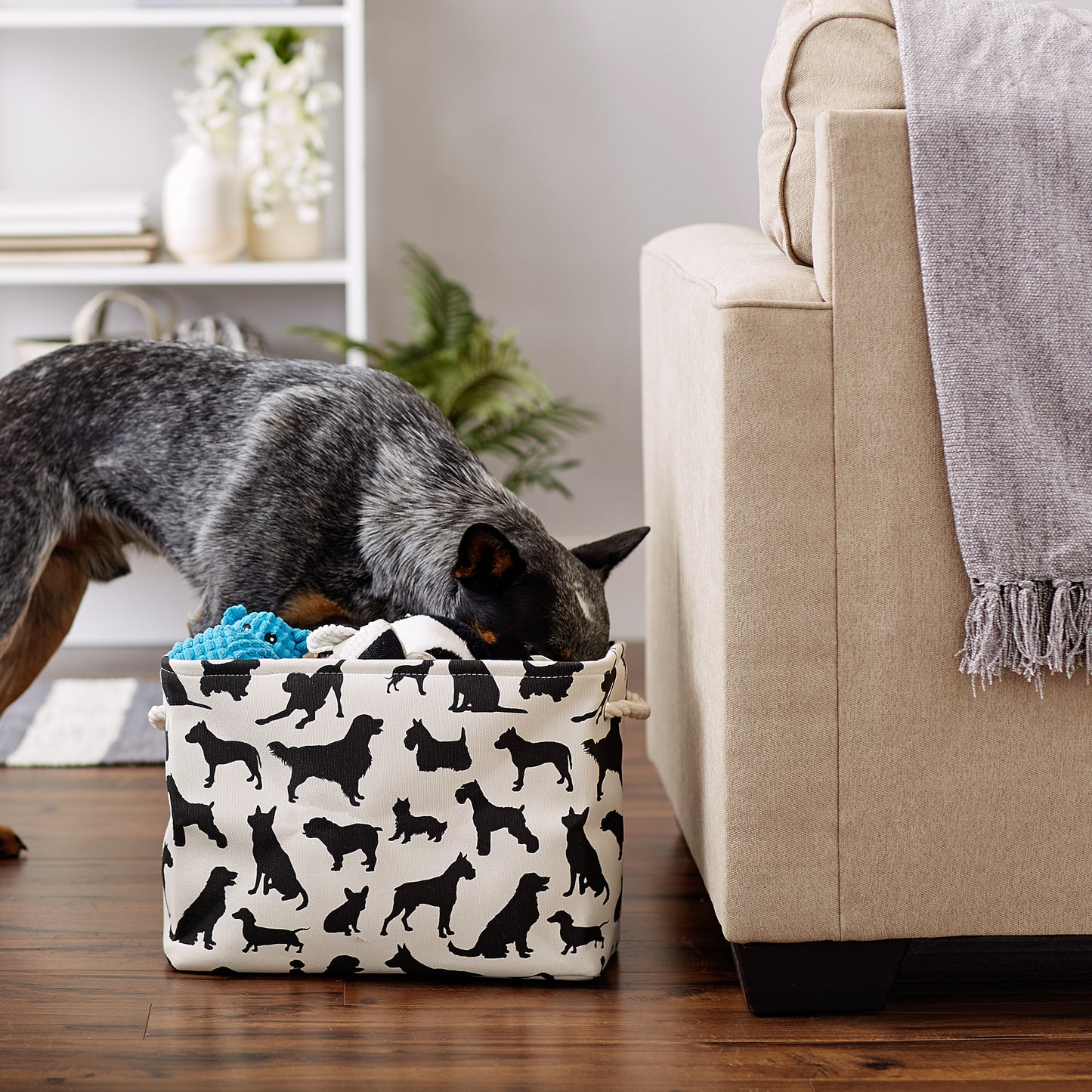 Bone Dry Collapsible Pet Storage Bin, Dog Show Print, Black/White, Medium - 16x10x12"