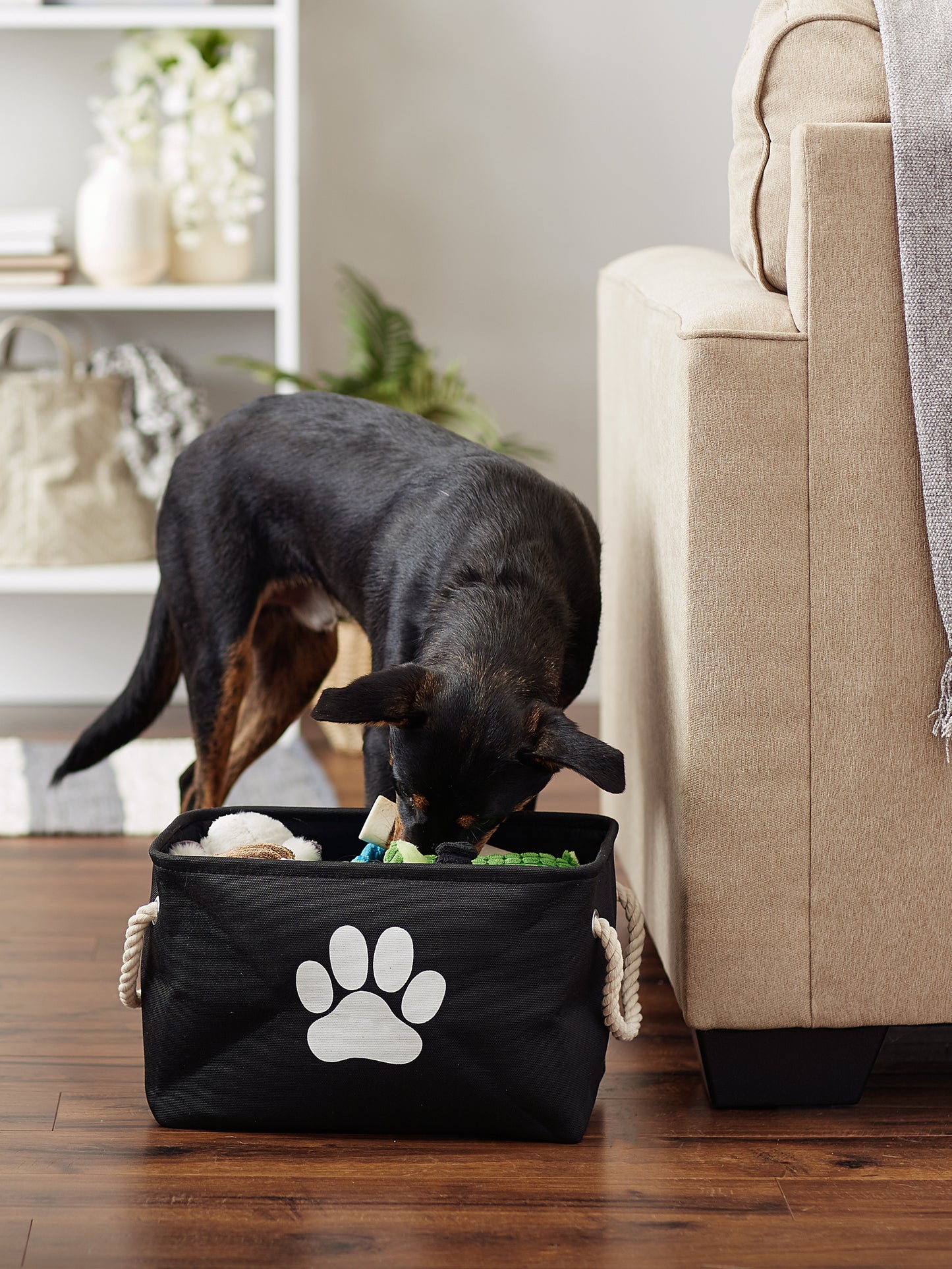 Bone Dry Collapsible Pet Storage Bin, Paw Print, Black, Small - 14x8x9"