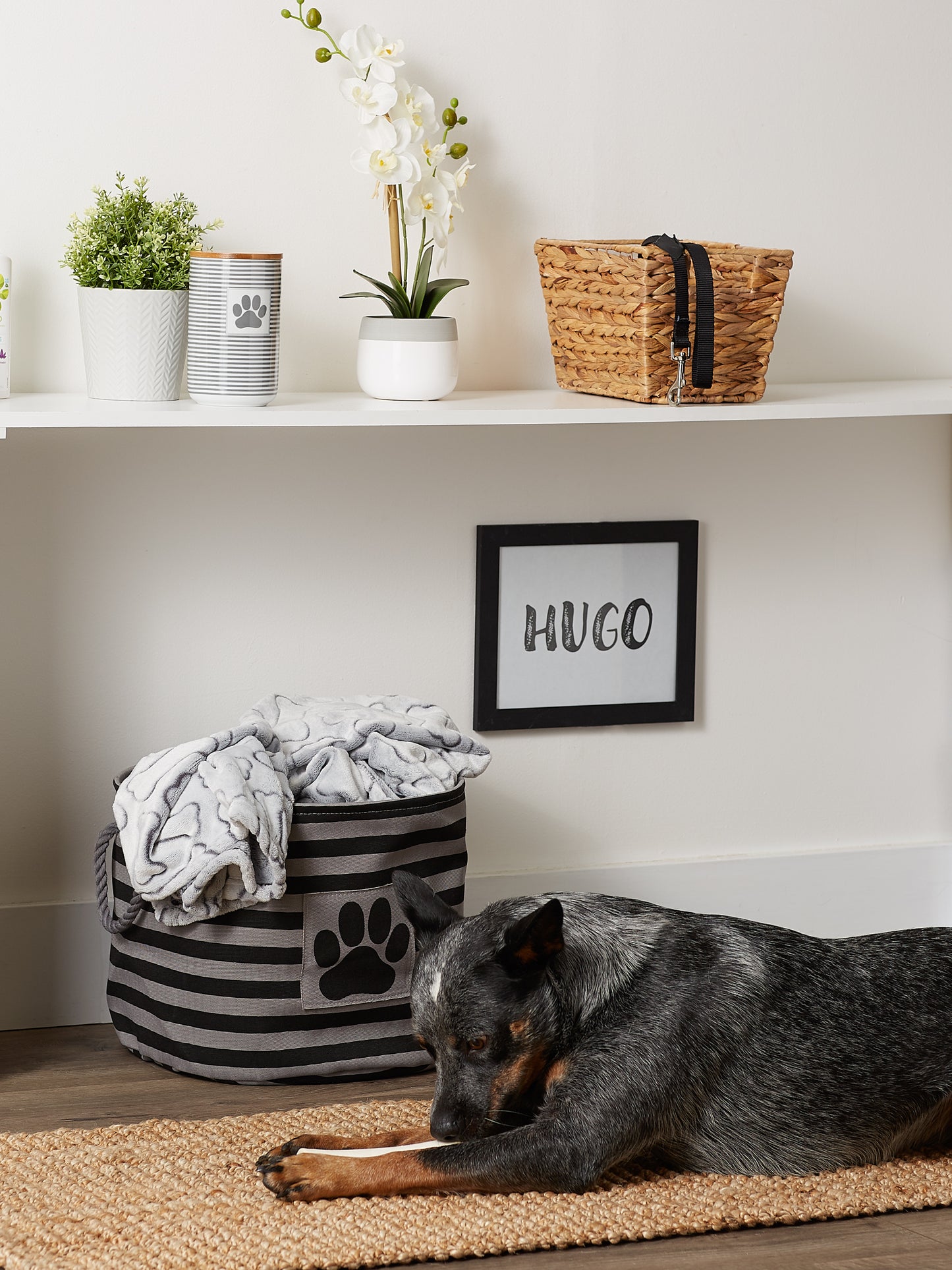 Bone Dry Pet Storage Bin, Striped Paw Patch, Black, Medium Round, 15x12"