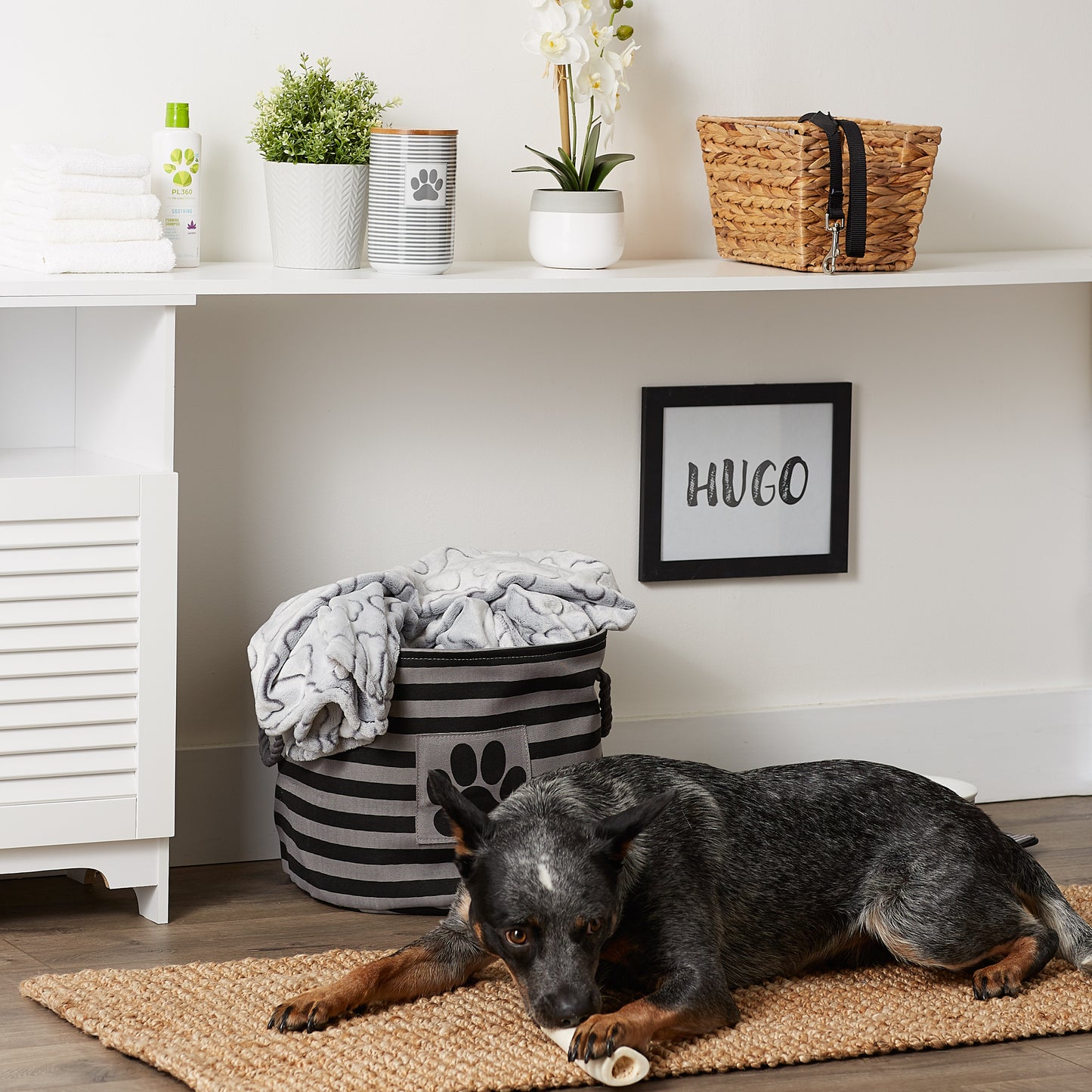 Bone Dry Pet Storage Bin, Striped Paw Patch, Black, Medium Round, 15x12"