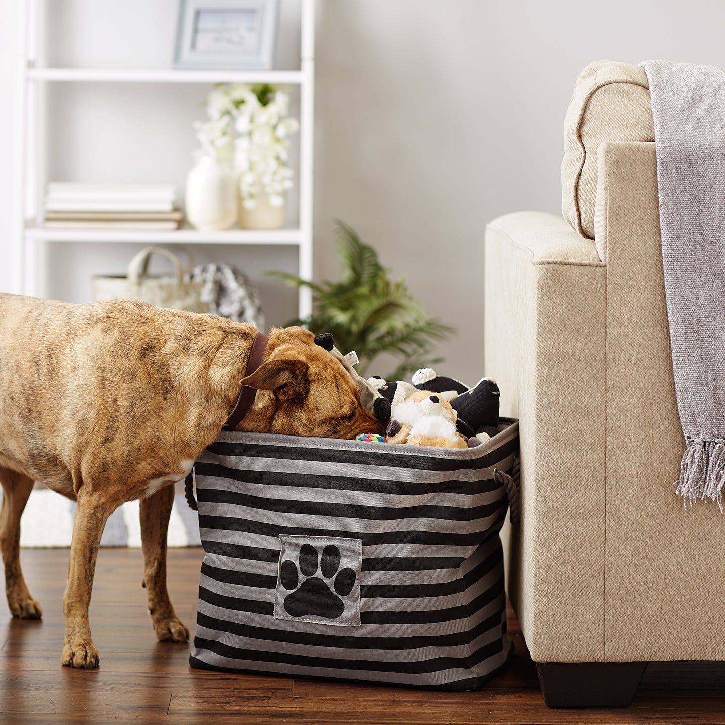 Polyester Pet Bin Stripe With Paw Patch Black Rectangle Large 17.5X12X15