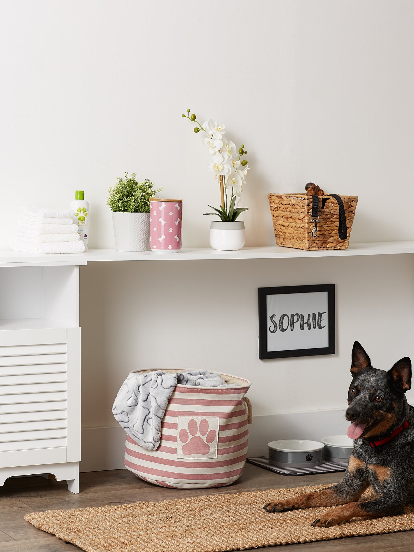 Polyester Pet Bin Stripe With Paw Patch Rose Round Medium 12X15X15