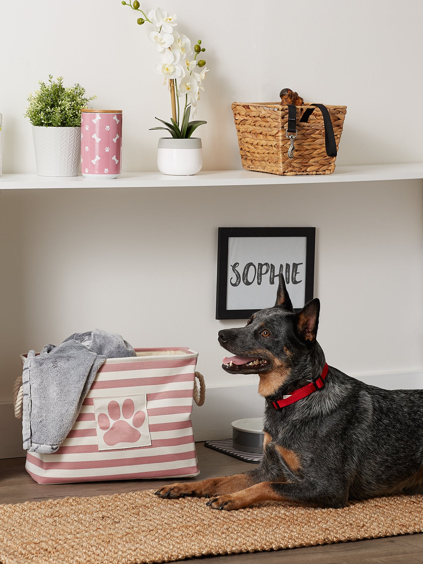 Polyester Pet Bin Stripe With Paw Patch Rose Rectangle Medium 16X10X12