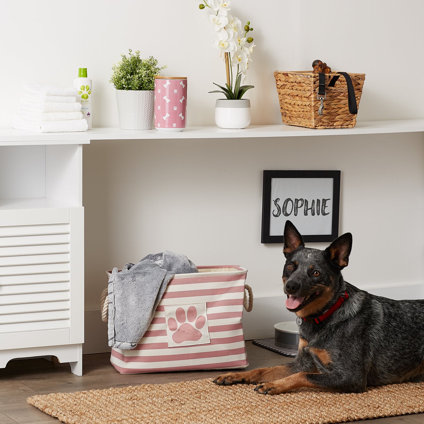 Bone Dry Pet Storage Bin, Striped Paw Patch, Rose, Medium - 16x10x12"