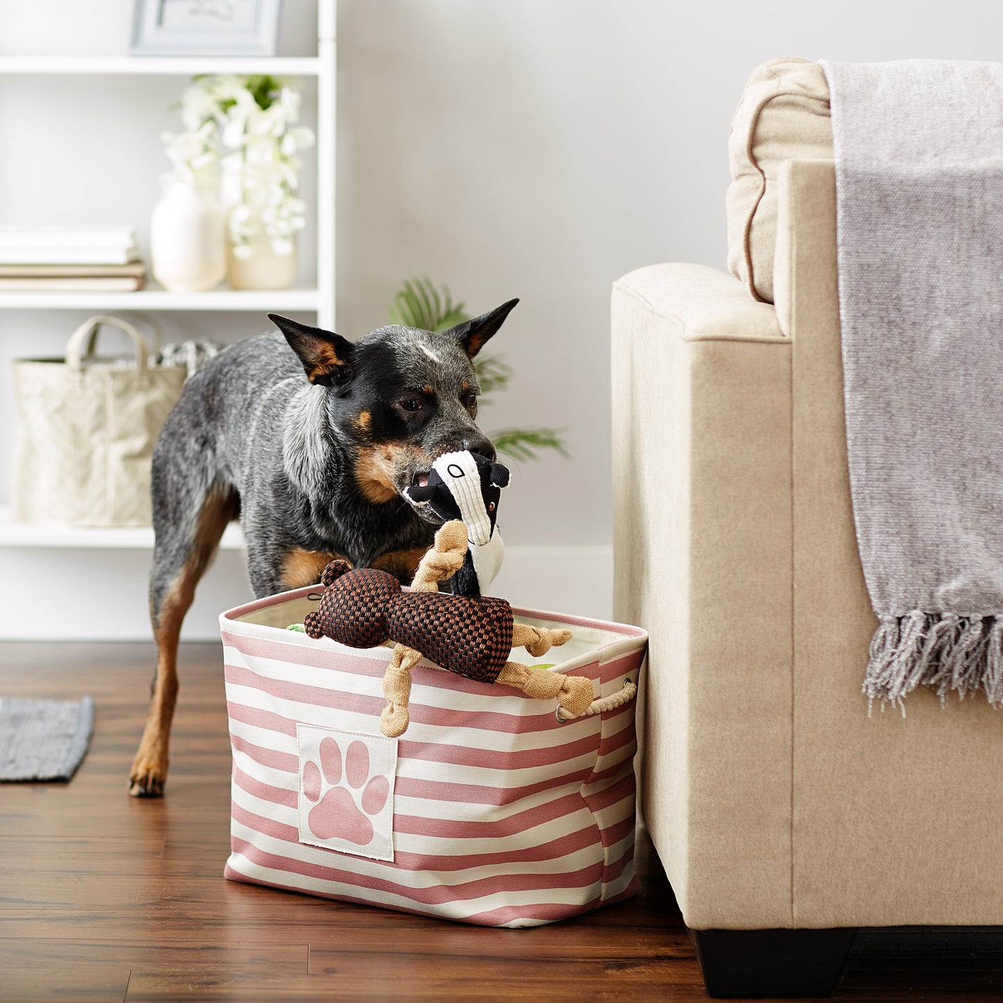 Bone Dry Pet Storage Bin, Striped Paw Patch, Rose, Medium - 16x10x12"