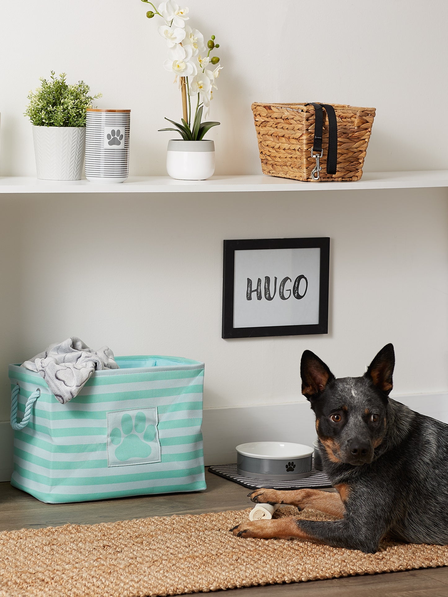 Polyester Pet Bin Stripe With Paw Patch Aqua Rectangle Medium 16X10X12