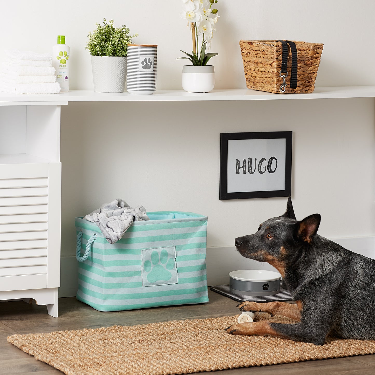 Polyester Pet Bin Stripe With Paw Patch Aqua Rectangle Medium 16X10X12