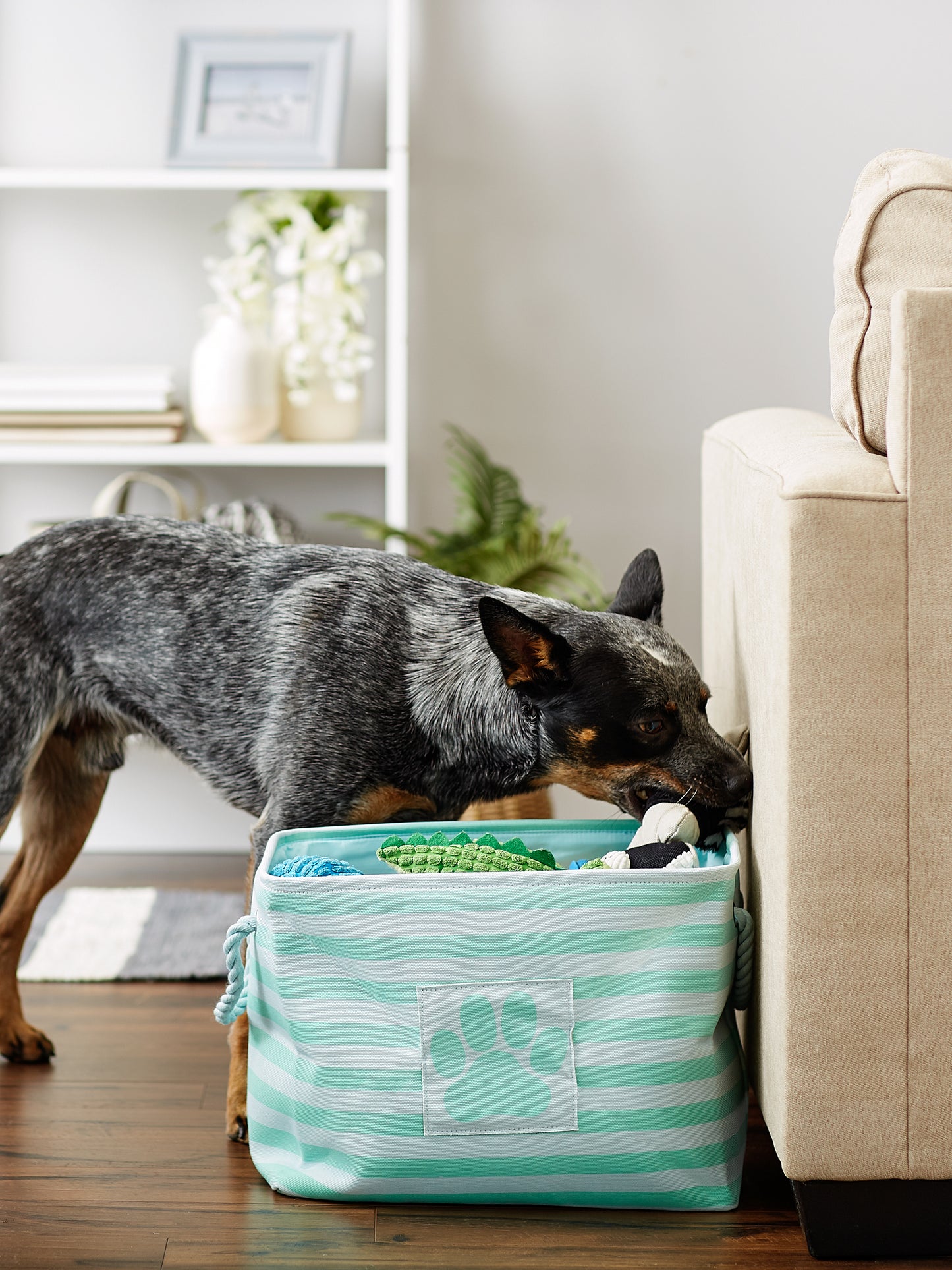 Polyester Pet Bin Stripe With Paw Patch Aqua Rectangle Medium 16X10X12