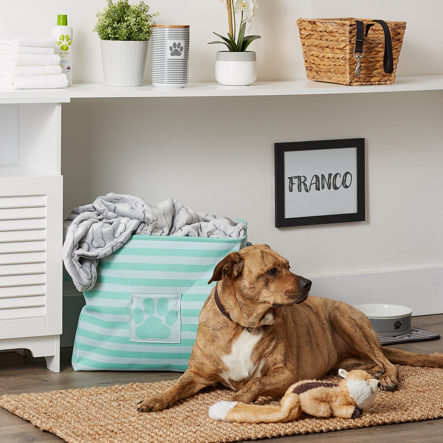 Bone Dry Pet Storage Bin, Striped Paw Patch, Aqua, Large - 17.5x12x15"