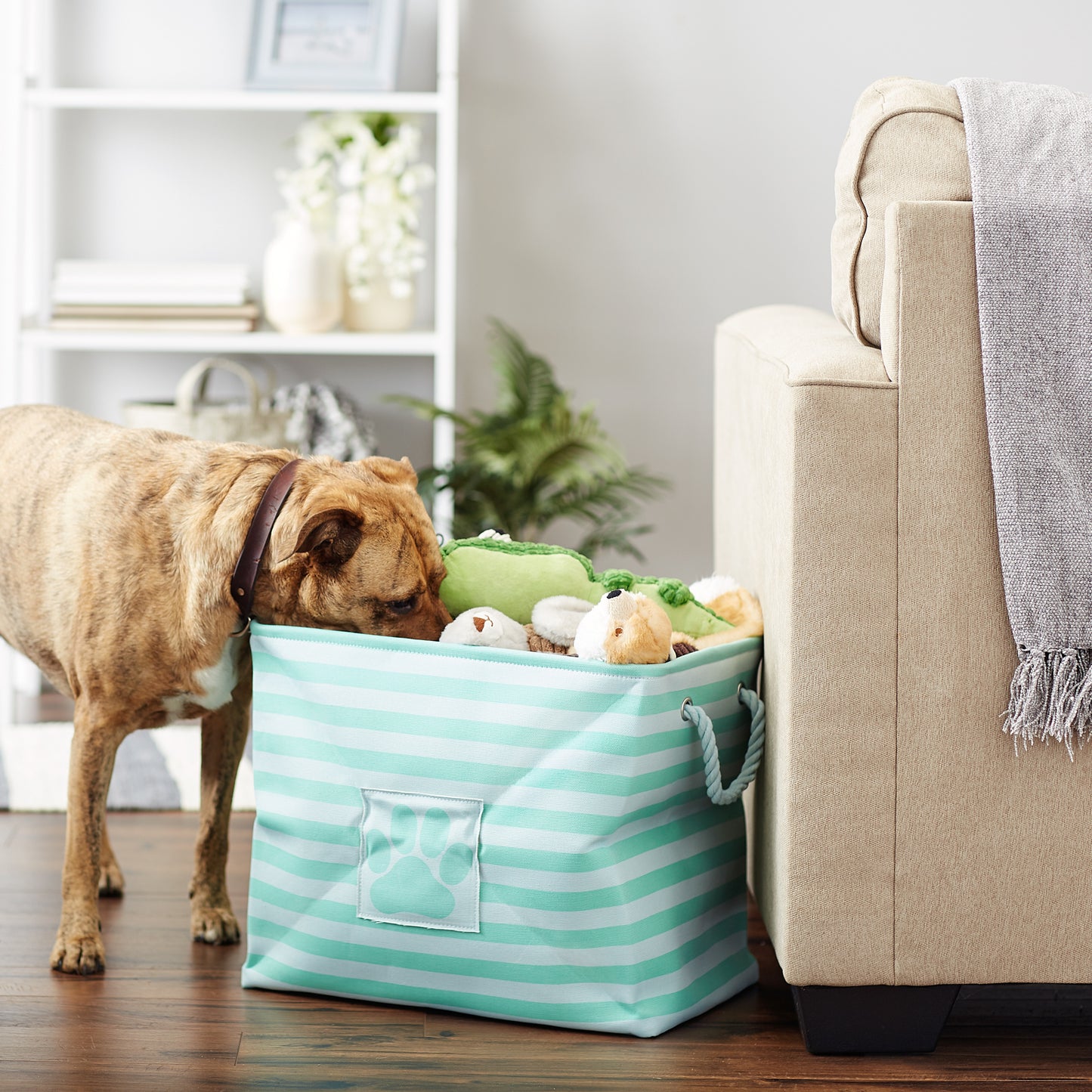 Bone Dry Pet Storage Bin, Striped Paw Patch, Aqua, Large - 17.5x12x15"