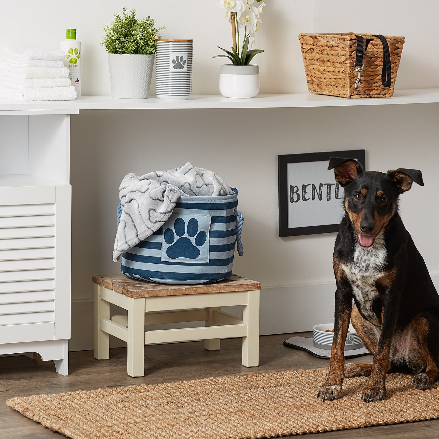 Bone Dry Pet Storage Bin, Striped Paw Patch, Dark Navy, Small Round, 12x9"