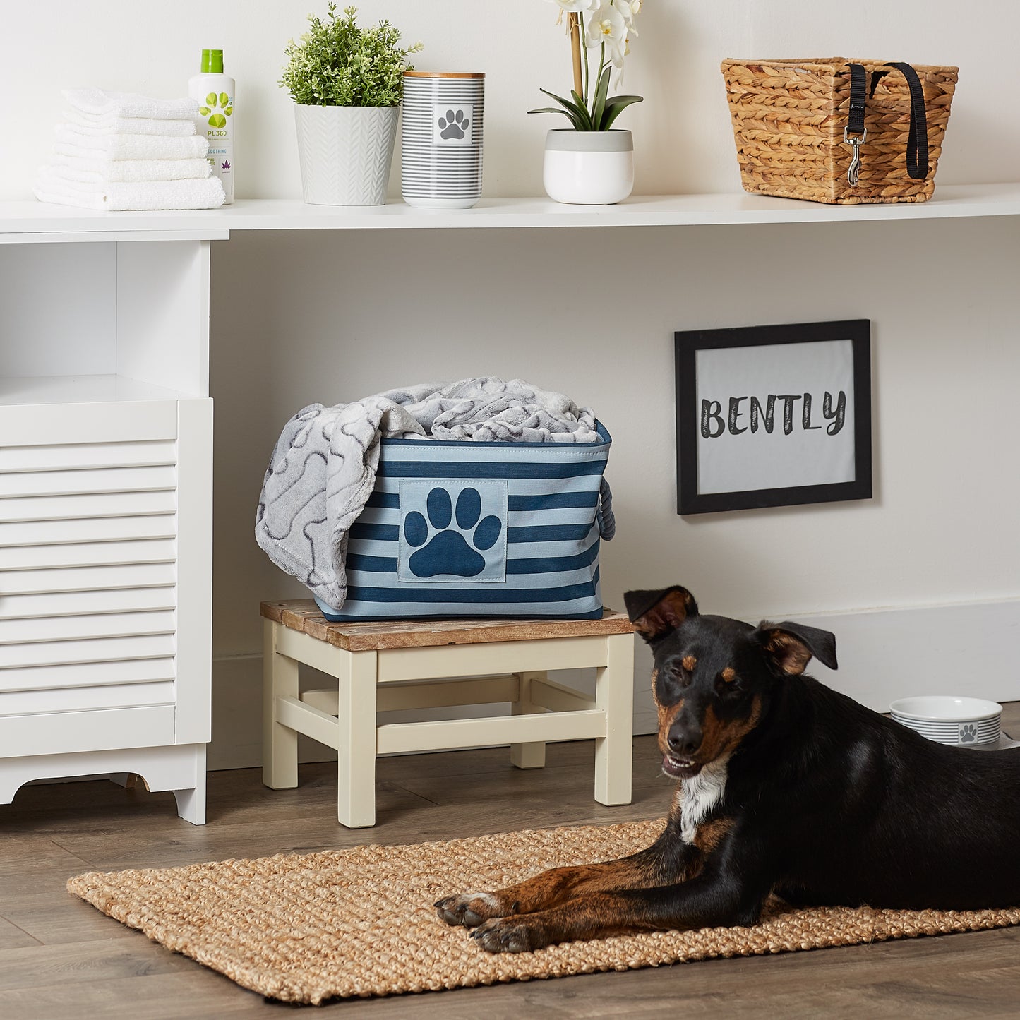 Polyester Pet Bin Stripe With Paw Patch Dark Navy Rectangle Small 14X8X9