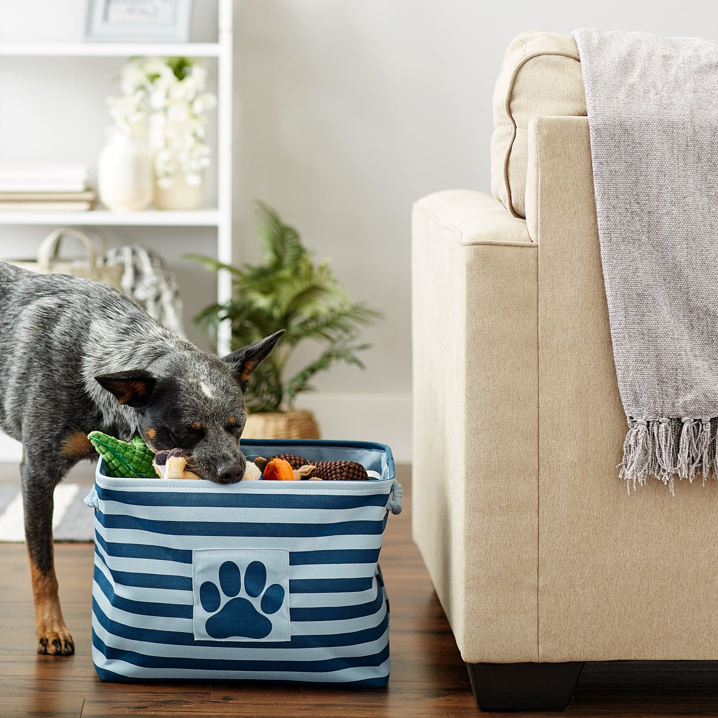 Bone Dry Pet Storage Bin, Striped Paw Patch, Dark Navy, Medium - 16x10x12"