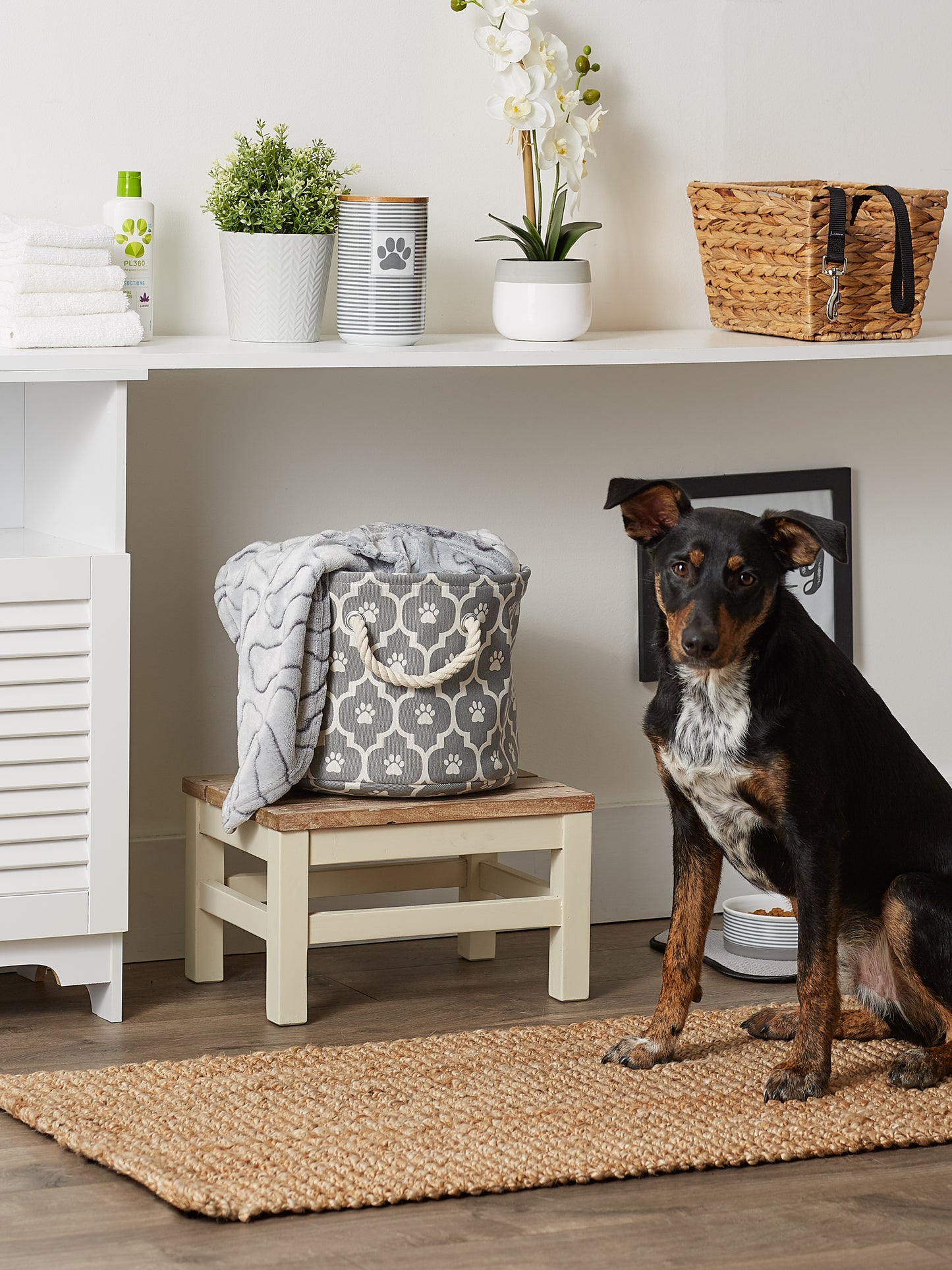 Bone Dry Pet Storage Bin, Lattice Paw Print, Gray, Small Round - 12x9"