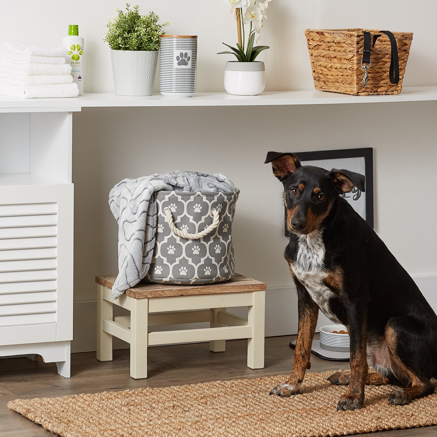 Bone Dry Pet Storage Bin, Lattice Paw Print, Gray, Small Round - 12x9"