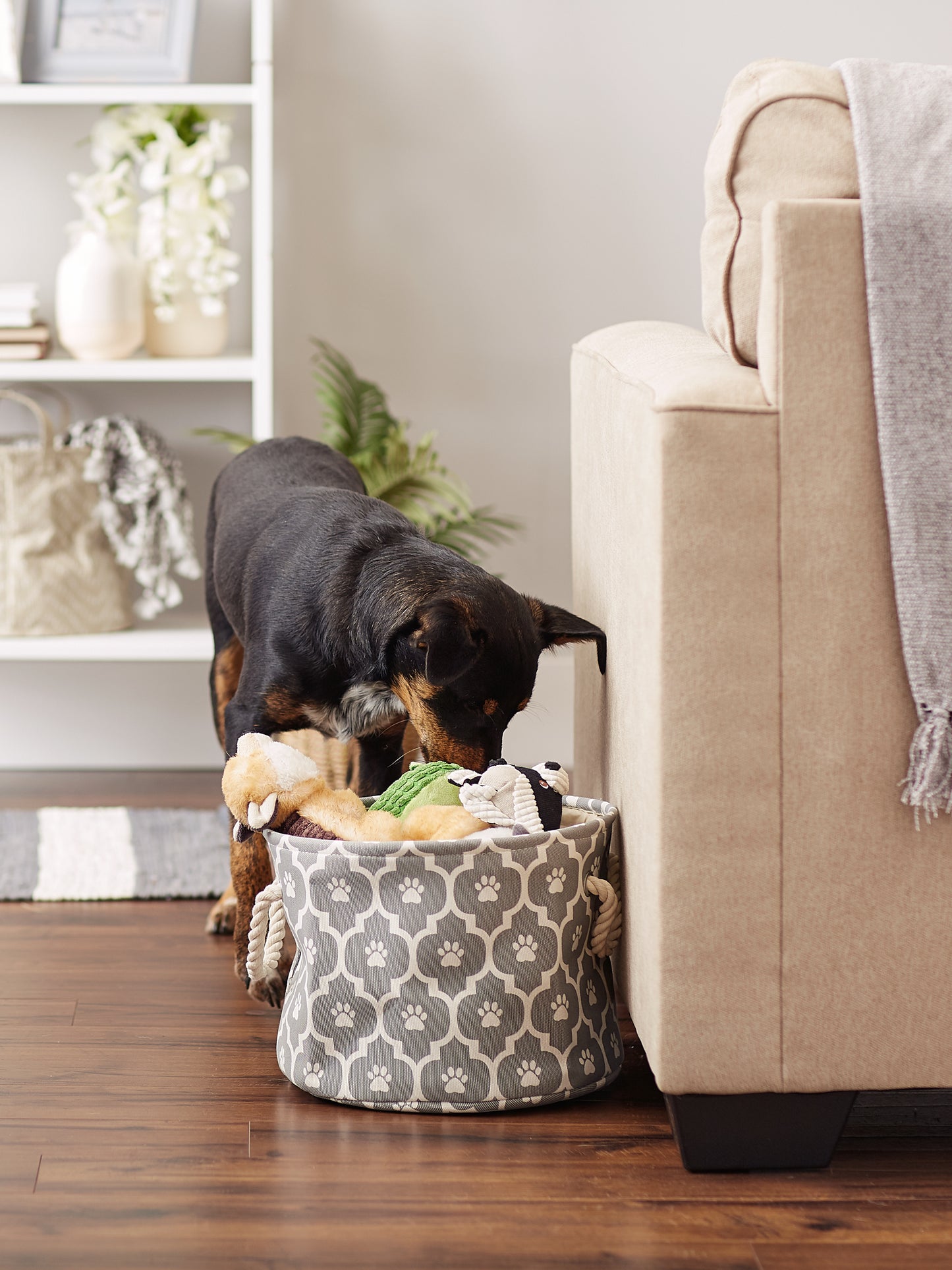 Bone Dry Pet Storage Bin, Lattice Paw Print, Gray, Small Round - 12x9"