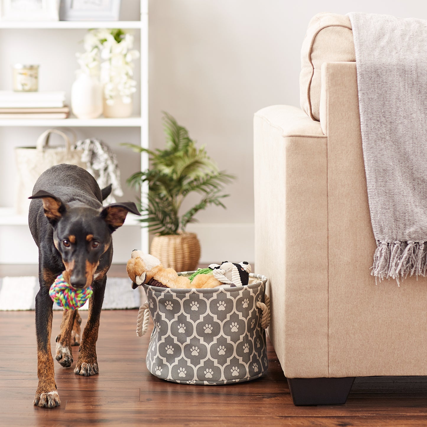 Bone Dry Pet Storage Bin, Lattice Paw Print, Gray, Small Round - 12x9"