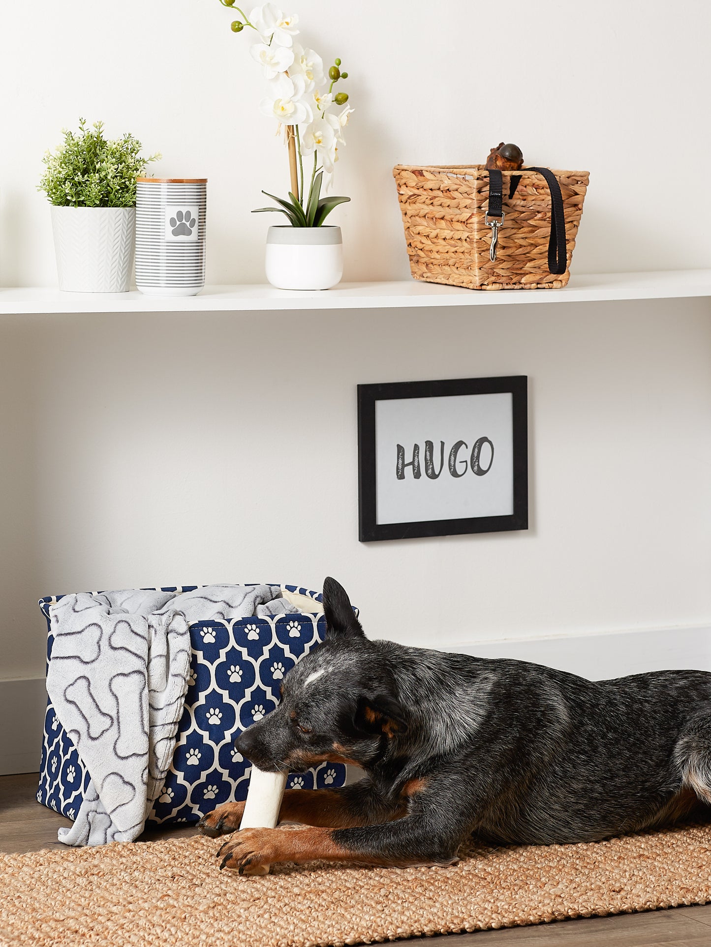 Bone Dry Pet Storage Bin, Lattice Paw Print, Nautical Blue, Medium - 16x10x12"