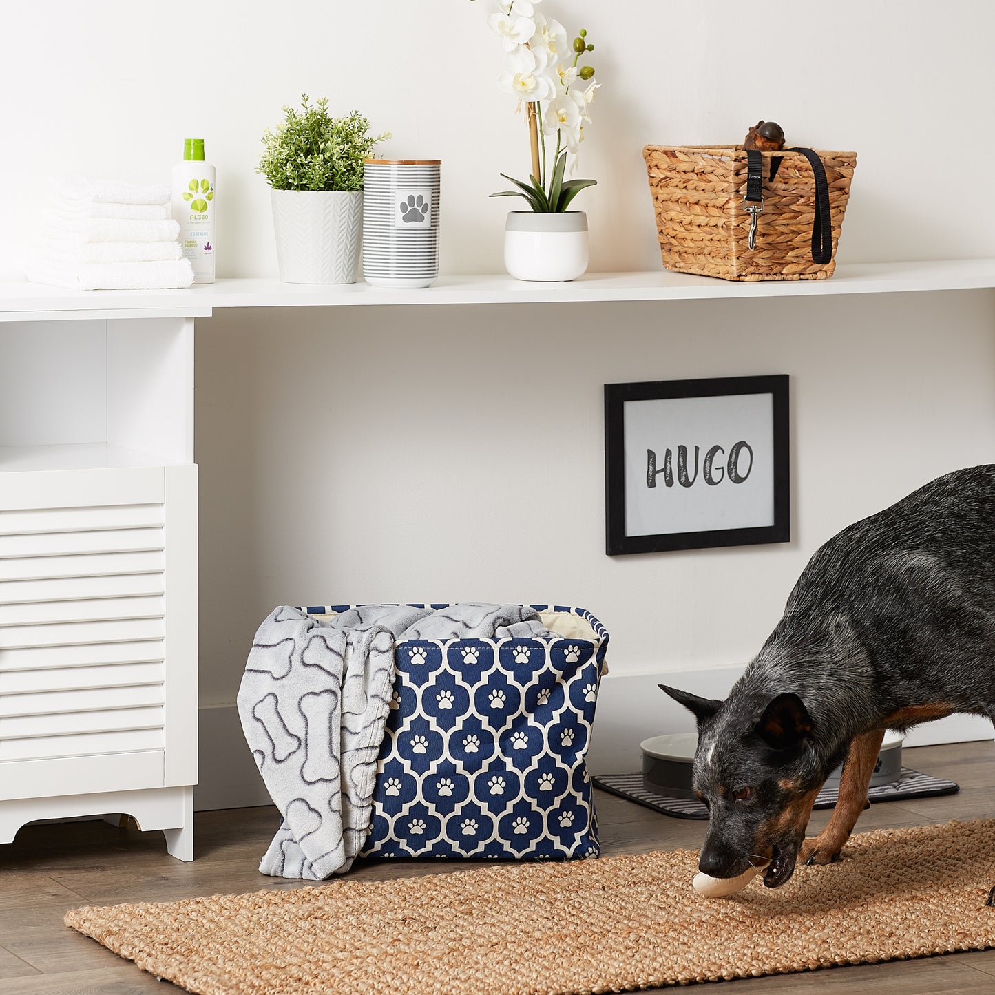 Bone Dry Pet Storage Bin, Lattice Paw Print, Nautical Blue, Medium - 16x10x12"