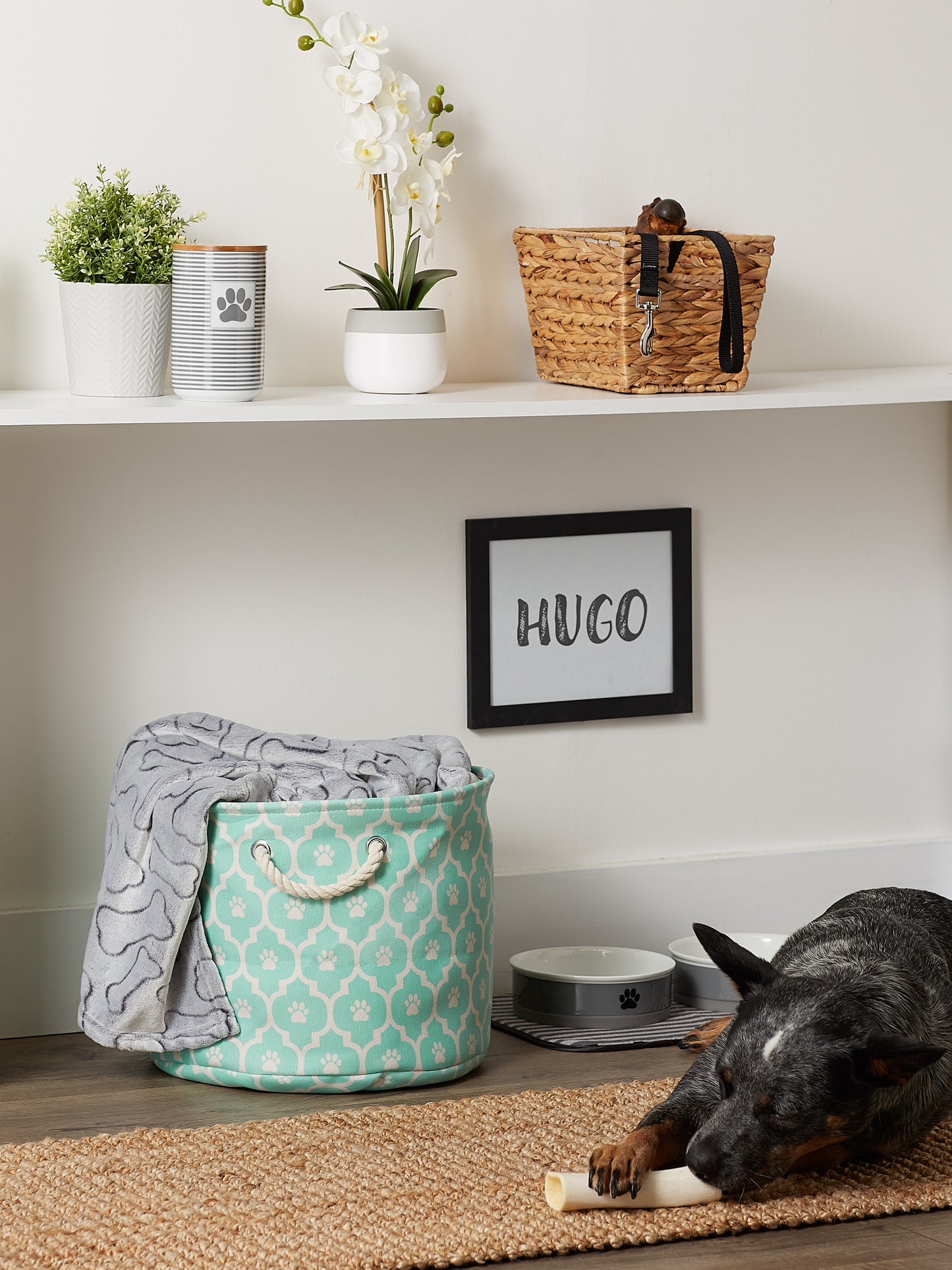 Bone Dry Pet Storage Bin, Lattice Paw Print, Aqua, Medium Round - 15x12"