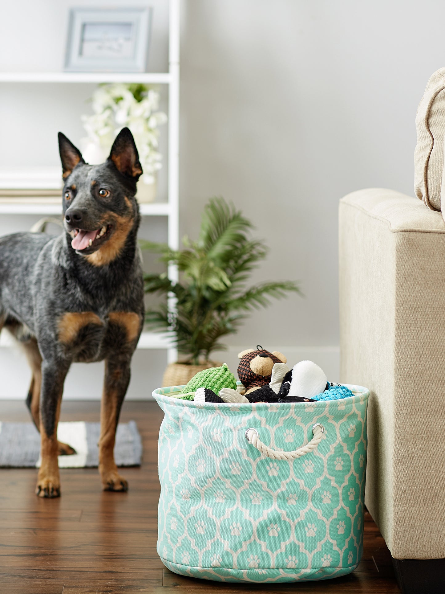 Bone Dry Pet Storage Bin, Lattice Paw Print, Aqua, Medium Round - 15x12"