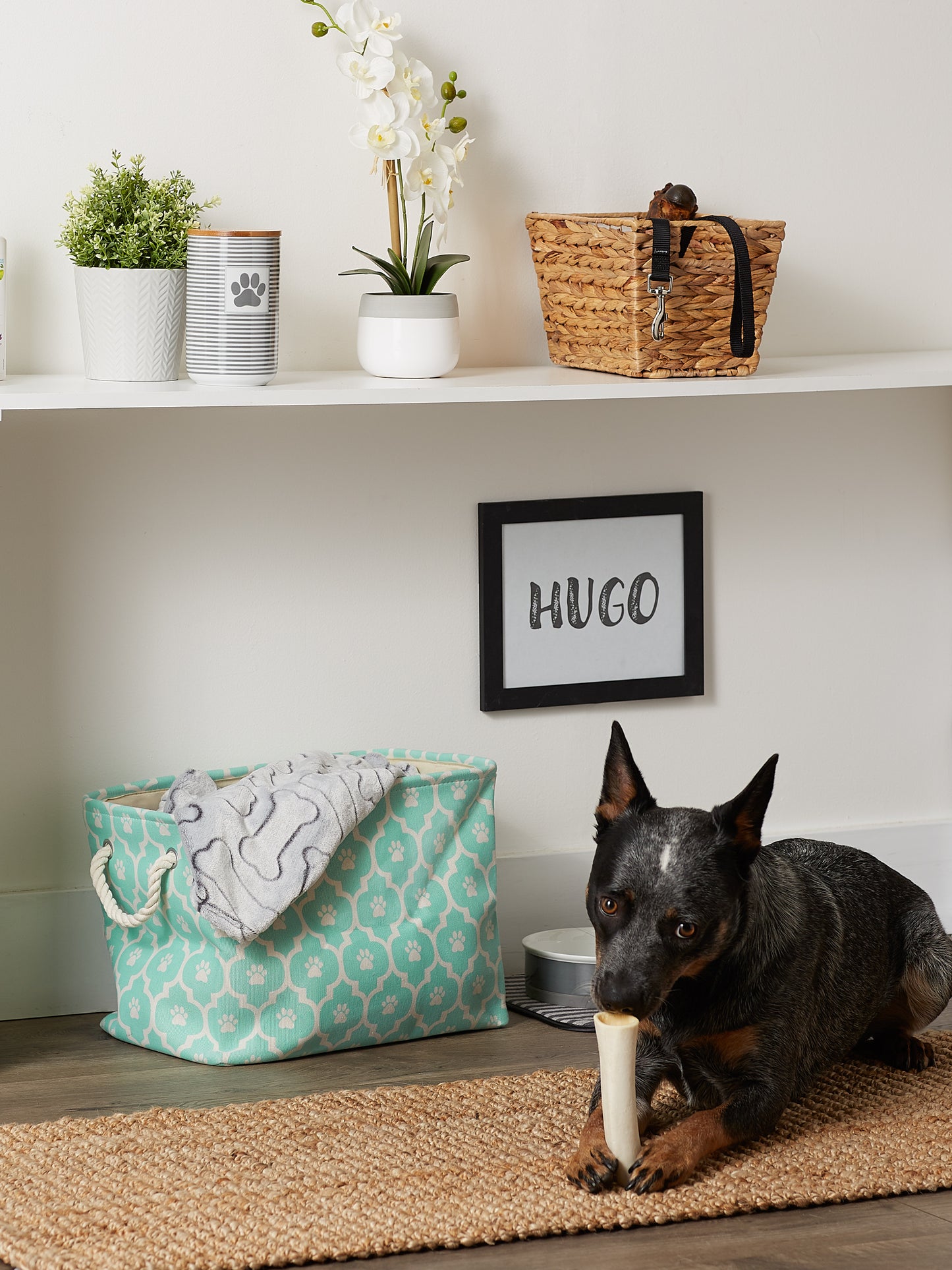 Polyester Pet Bin Lattice Paw Aqua Rectangle Medium 16X10X12