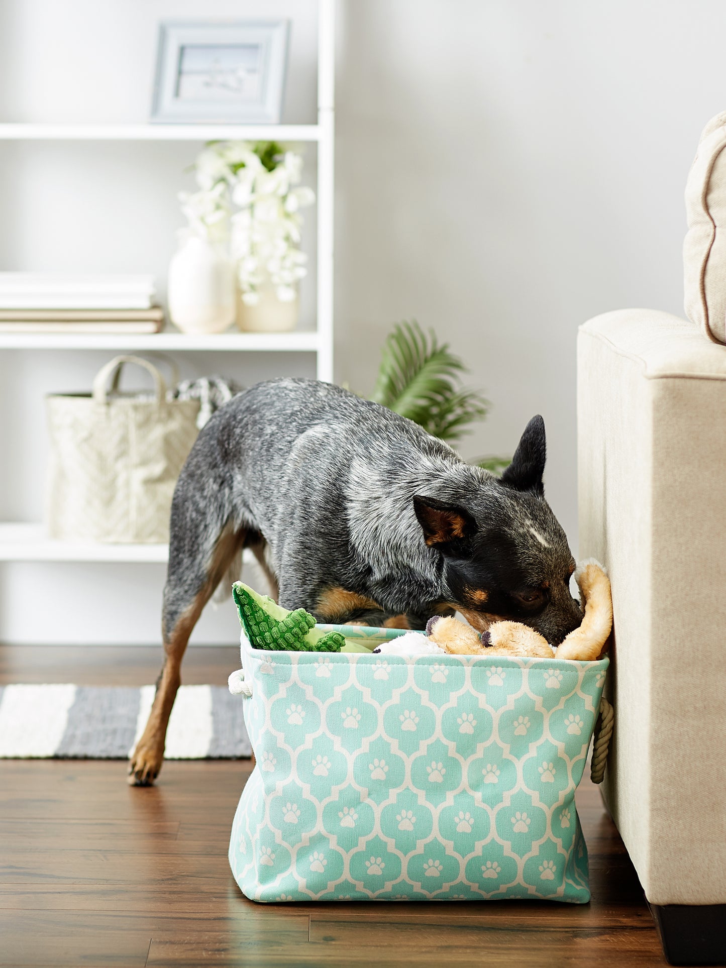 Polyester Pet Bin Lattice Paw Aqua Rectangle Medium 16X10X12