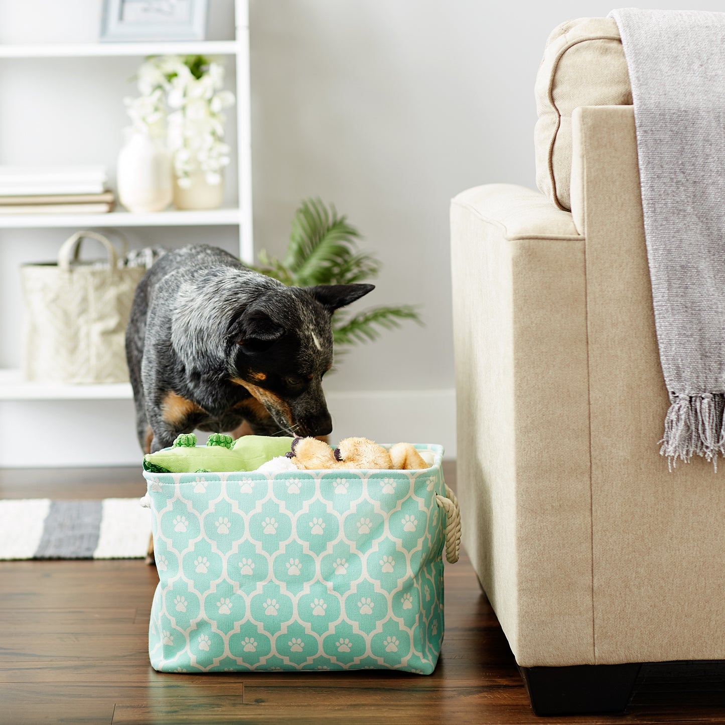 Polyester Pet Bin Lattice Paw Aqua Rectangle Medium 16X10X12