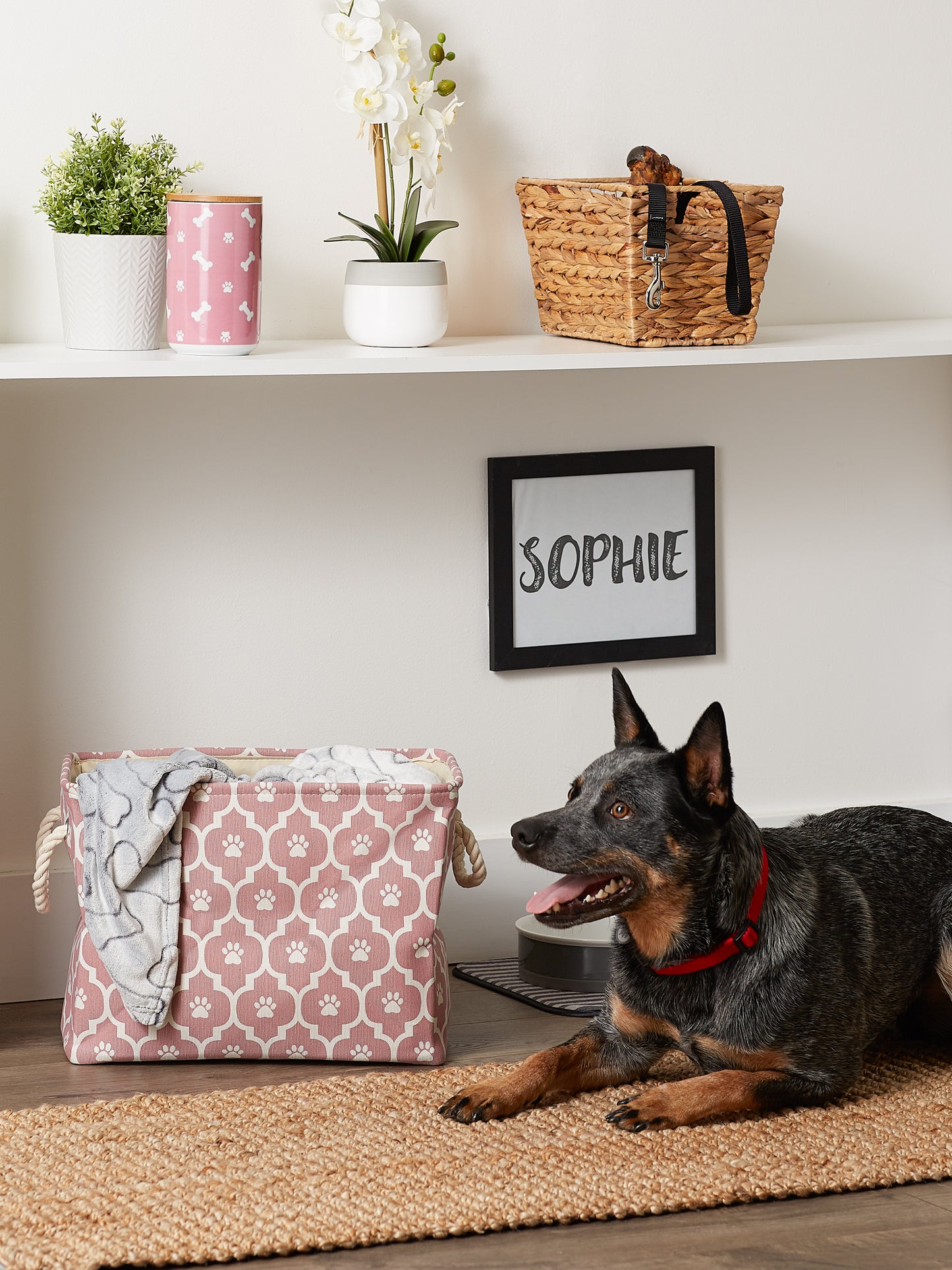 Bone Dry Pet Storage Bin, Lattice Paw Print, Rose, Medium - 16x10x12"