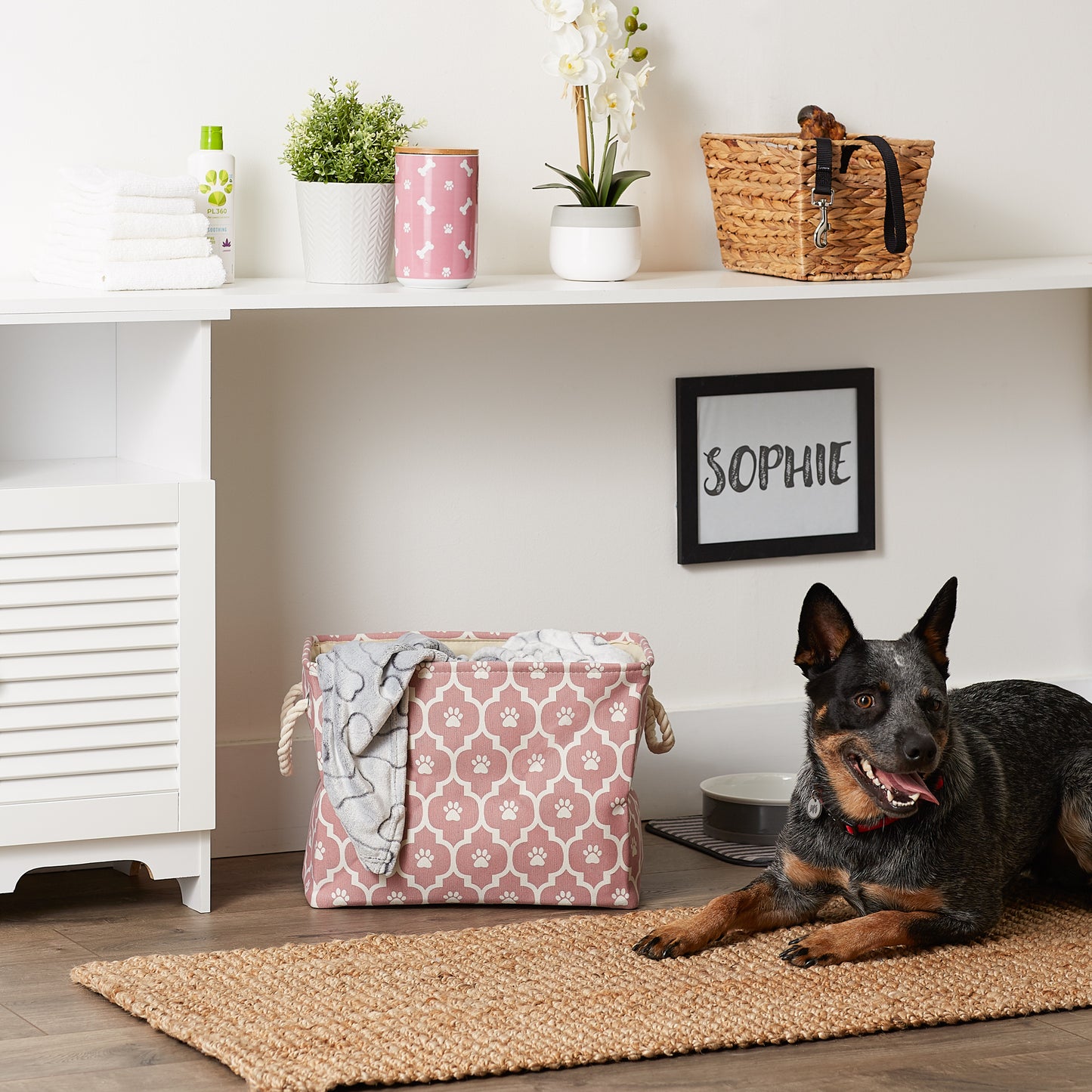 Bone Dry Pet Storage Bin, Lattice Paw Print, Rose, Medium - 16x10x12"