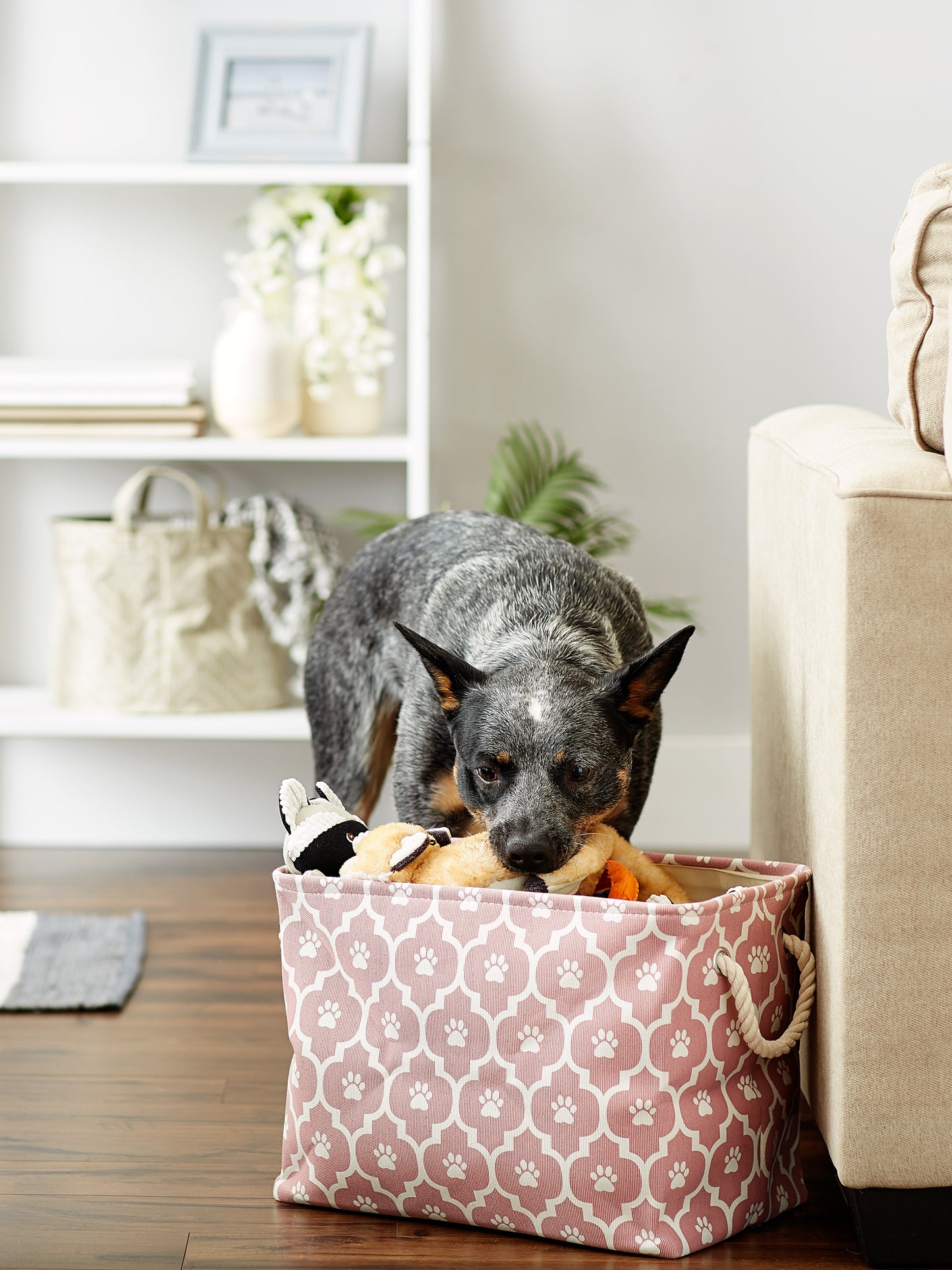 Bone Dry Pet Storage Bin, Lattice Paw Print, Rose, Medium - 16x10x12"