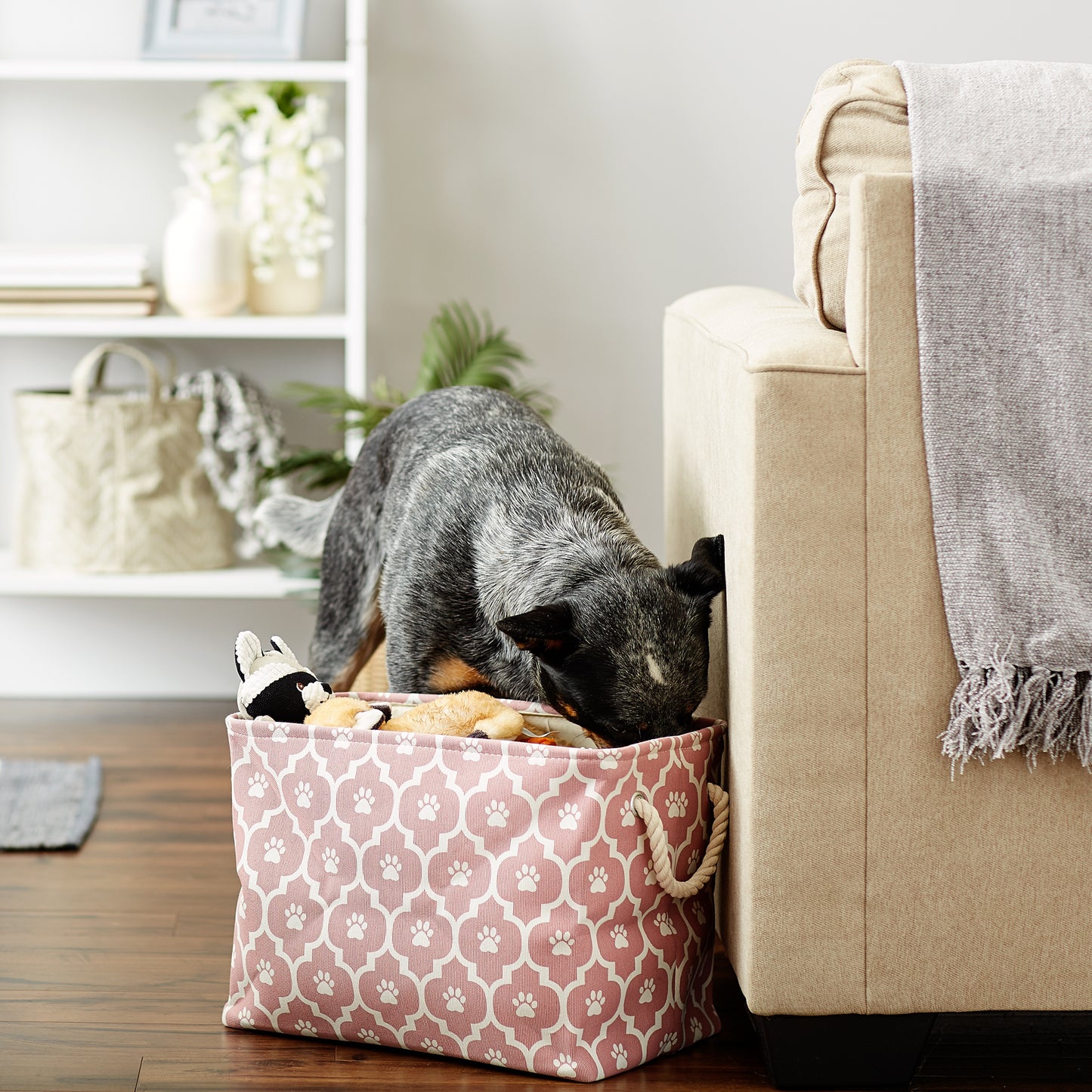 Bone Dry Pet Storage Bin, Lattice Paw Print, Rose, Medium - 16x10x12"