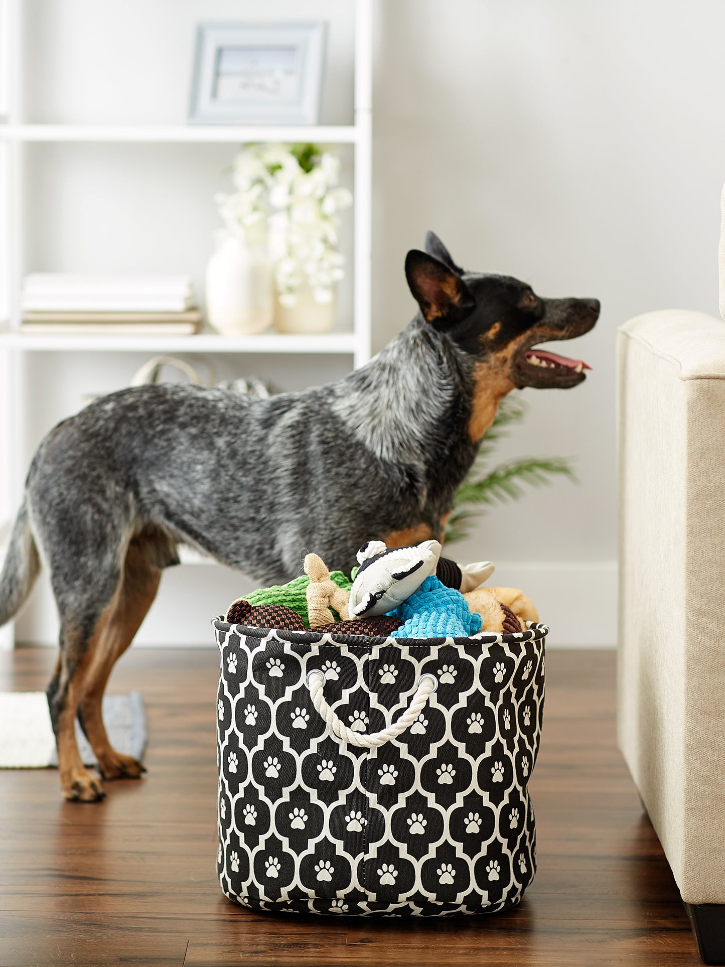 Bone Dry Pet Storage Bin, Lattice Paw Print, Black, Medium Round - 15x12"