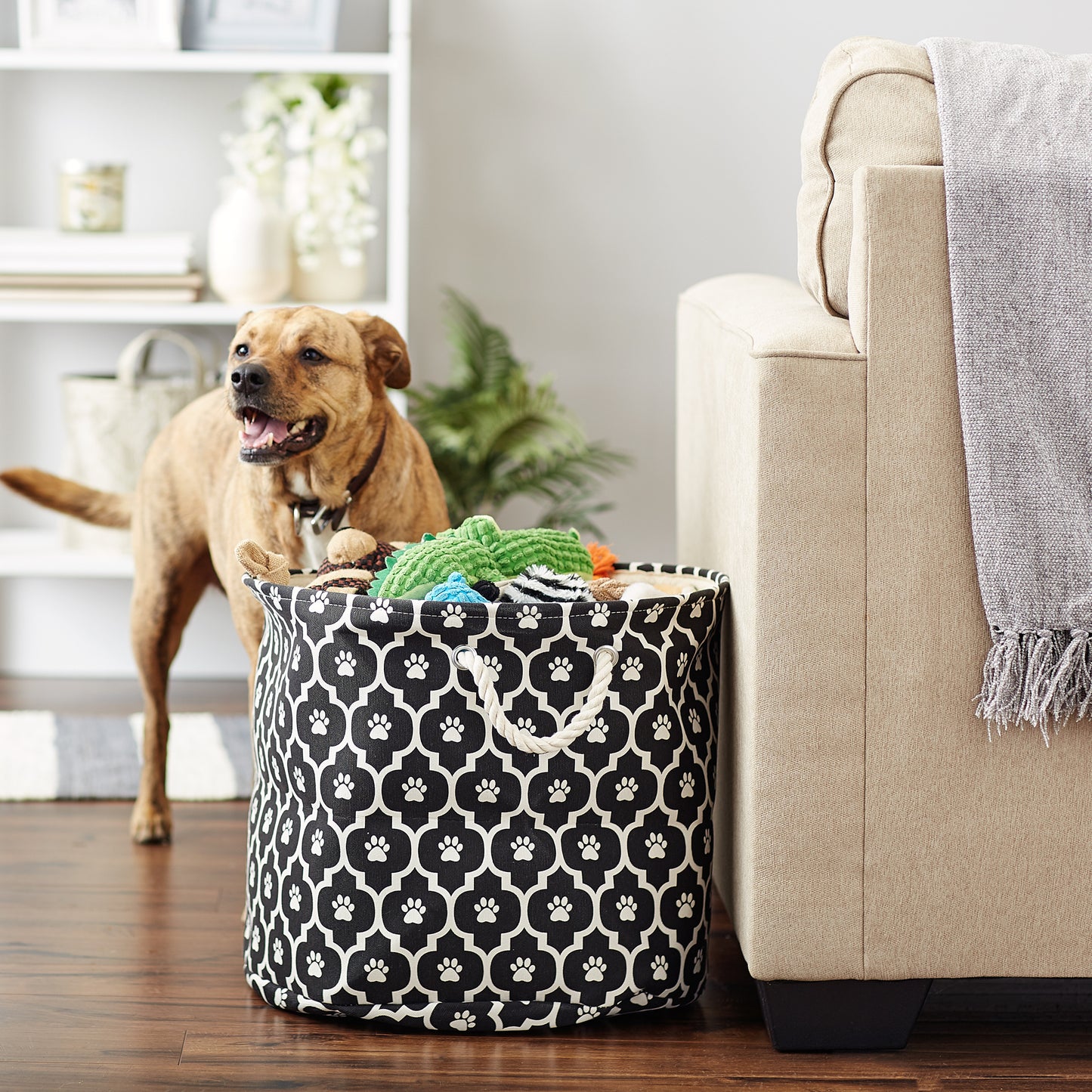 Bone Dry Pet Storage Bin, Lattice Paw Print, Black, Large Round - 18x15"