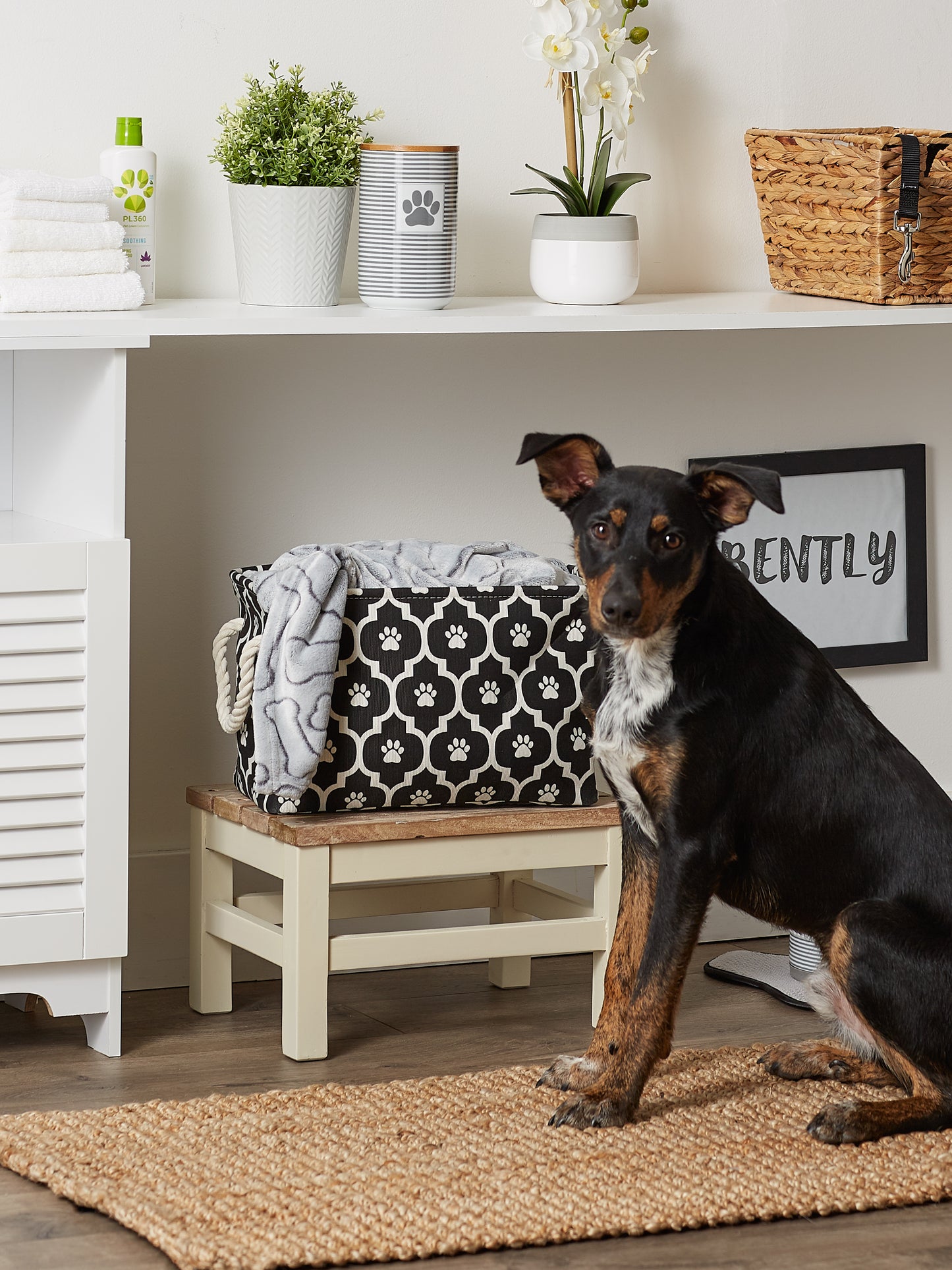 Bone Dry Pet Storage Bin, Lattice Paw Print, Black, Small -14x8x9"