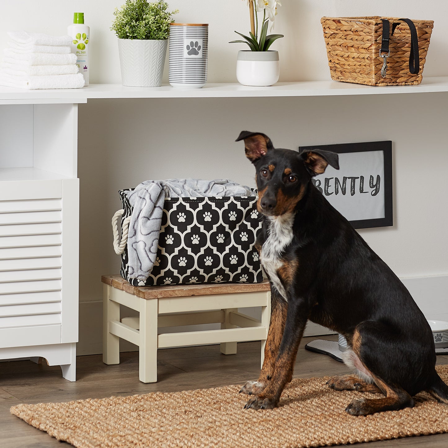 Bone Dry Pet Storage Bin, Lattice Paw Print, Black, Small -14x8x9"