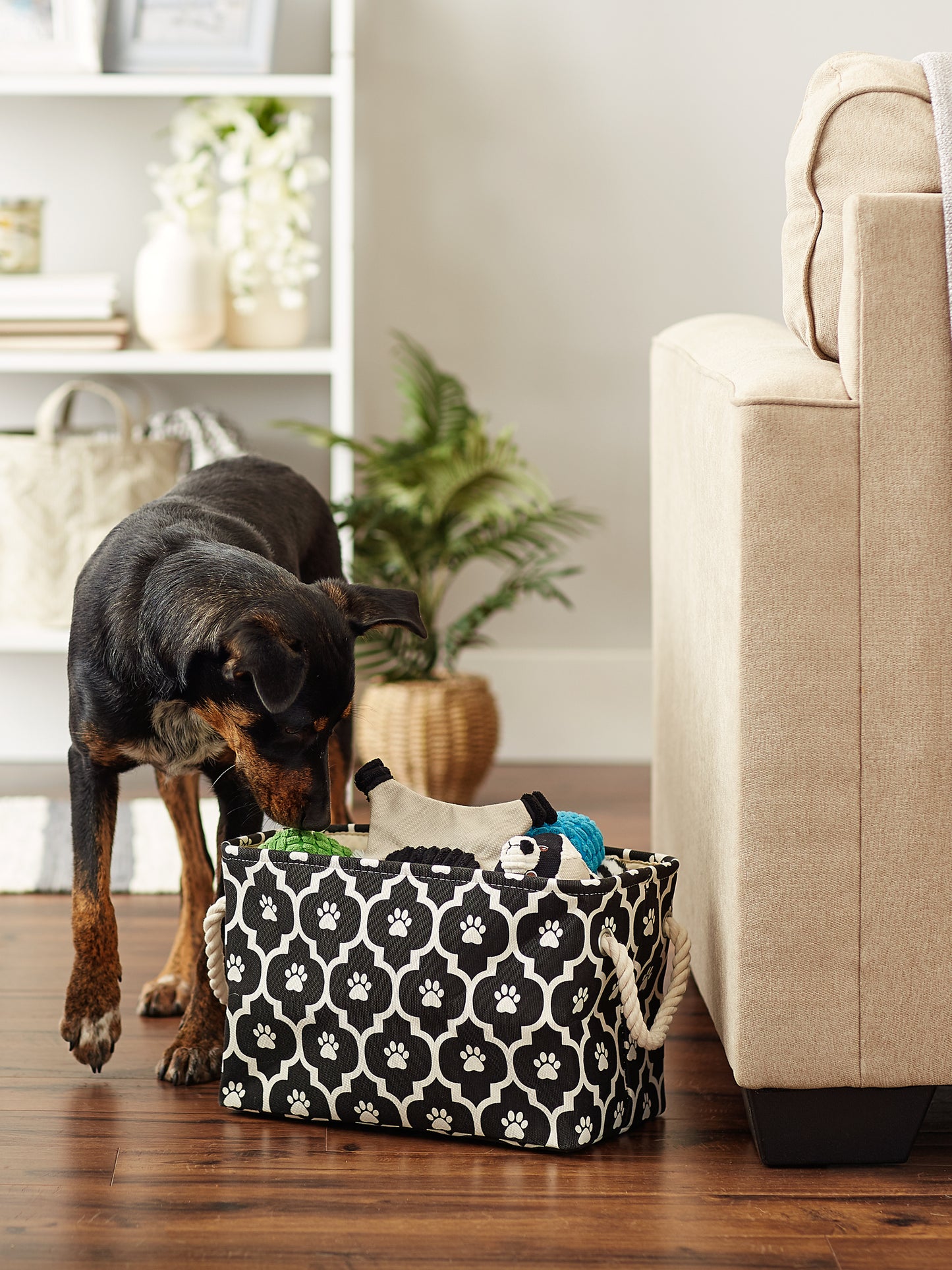Bone Dry Pet Storage Bin, Lattice Paw Print, Black, Small -14x8x9"