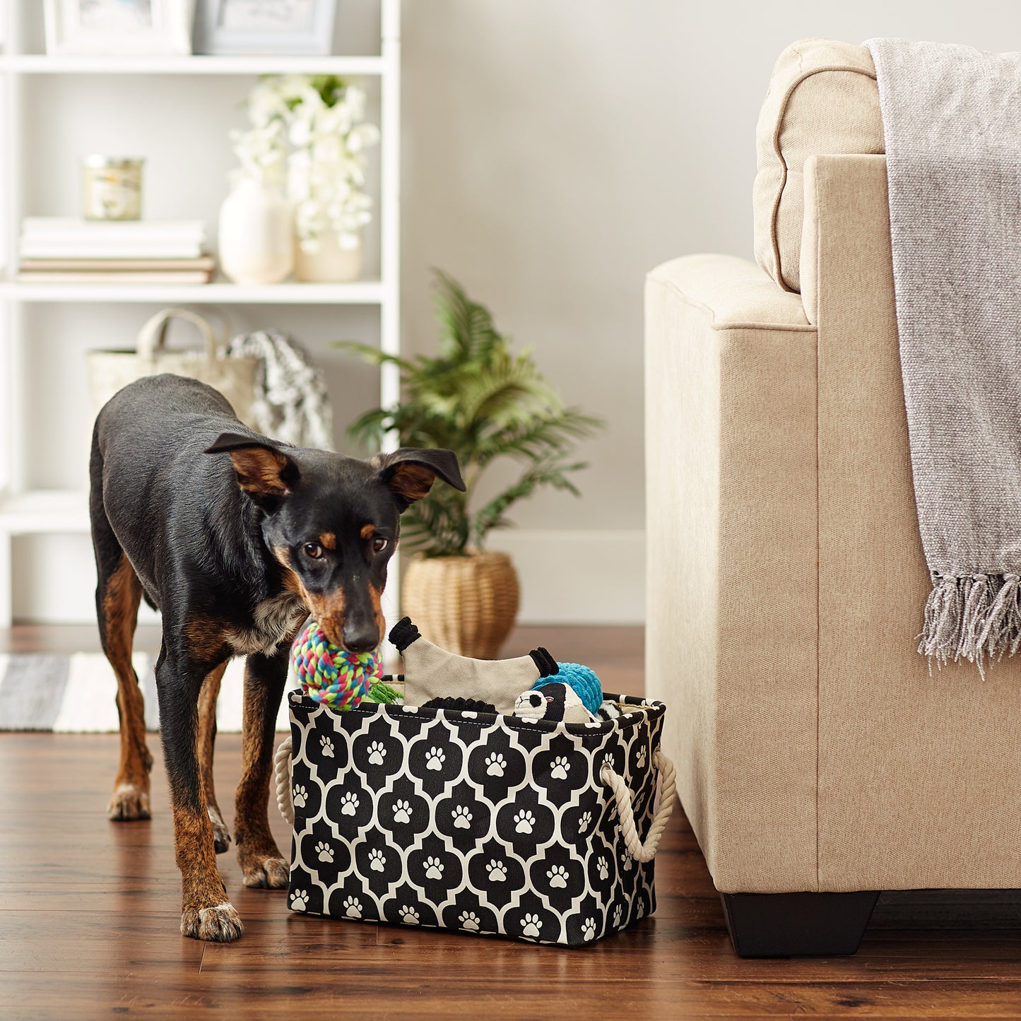 Bone Dry Pet Storage Bin, Lattice Paw Print, Black, Small -14x8x9"