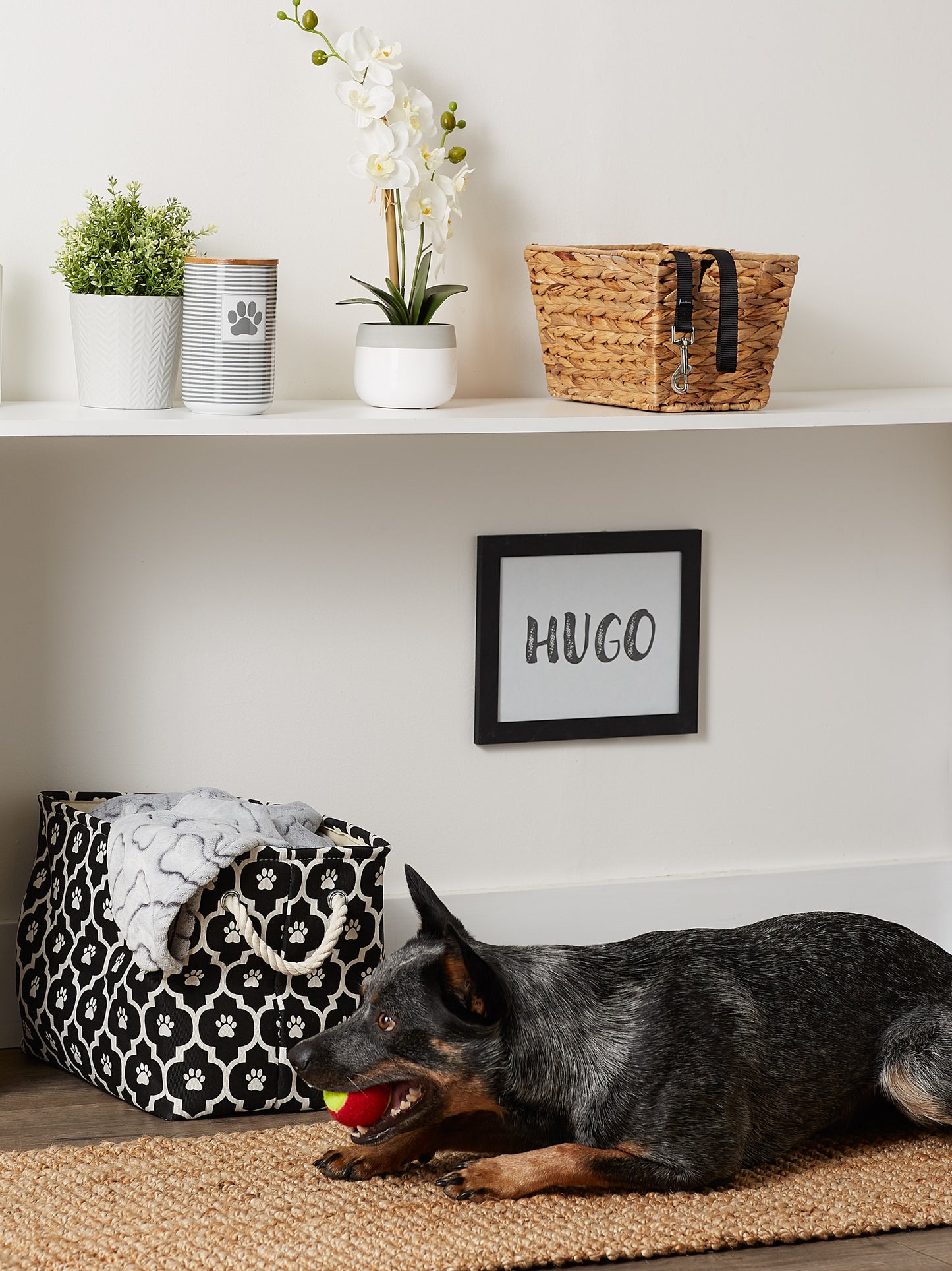 Bone Dry Pet Storage Bin, Lattice Paw Print, Black, Medium - 16x10x12"