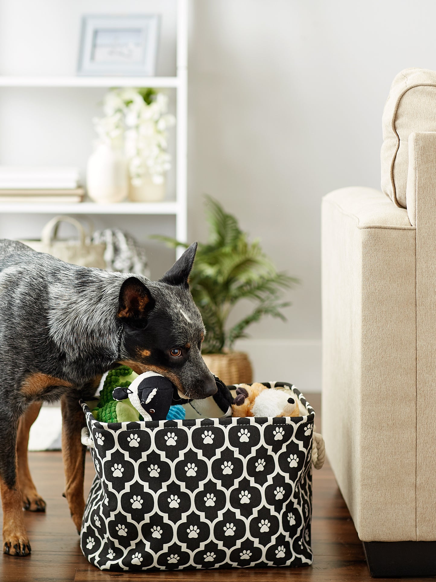 Bone Dry Pet Storage Bin, Lattice Paw Print, Black, Medium - 16x10x12"