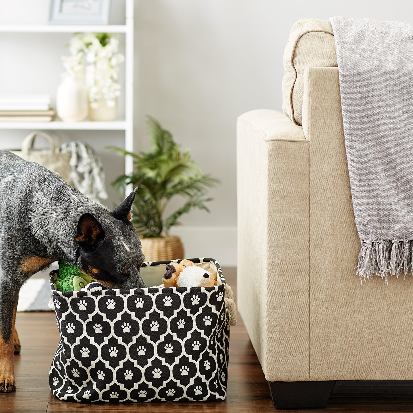 Bone Dry Pet Storage Bin, Lattice Paw Print, Black, Medium - 16x10x12"