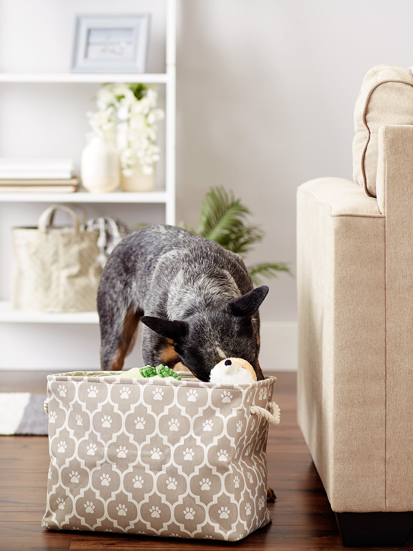 Bone Dry Pet Storage Bin, Lattice Paw Print, Stone, Medium  - 16x10x12"